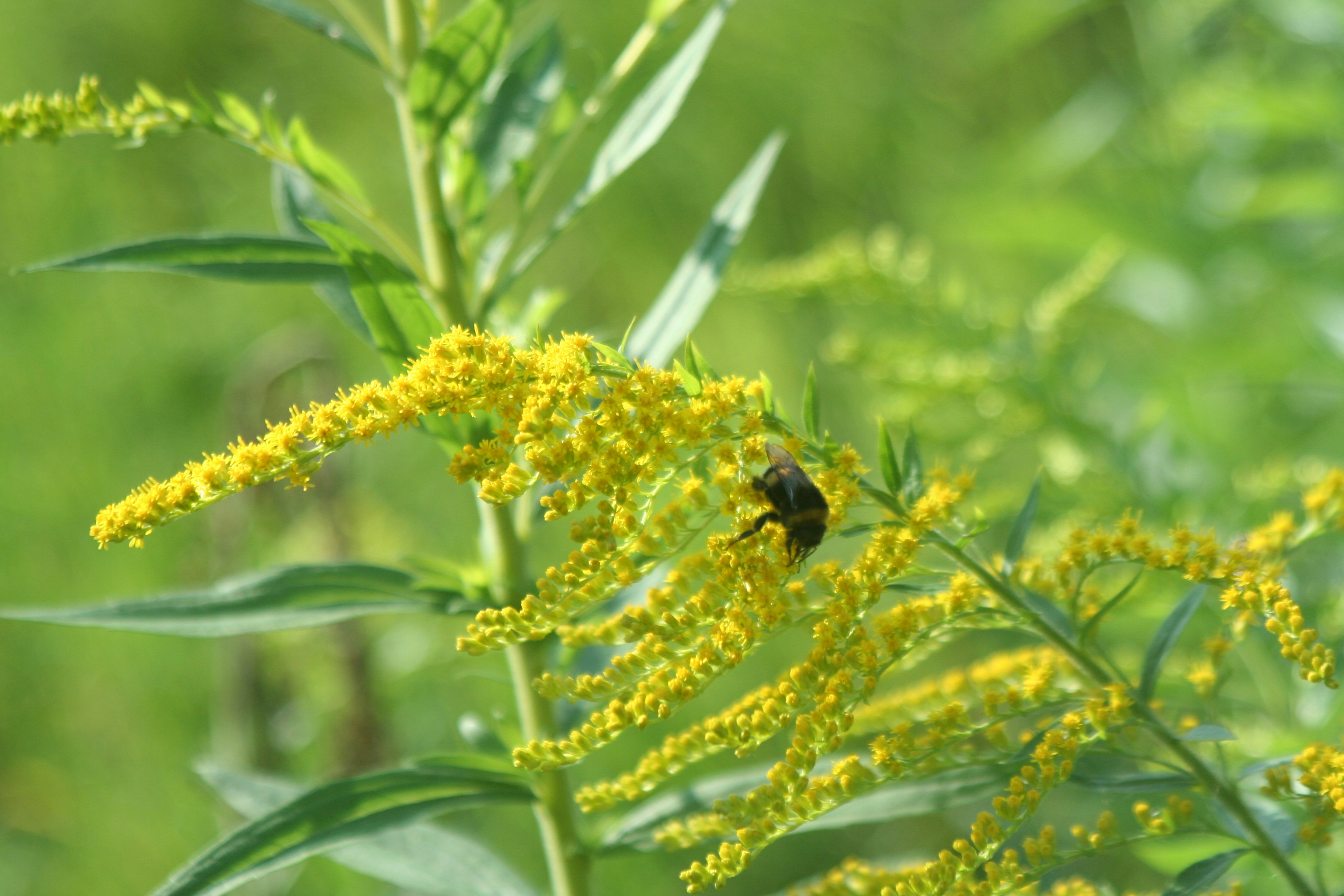 Photo by matusfotograf