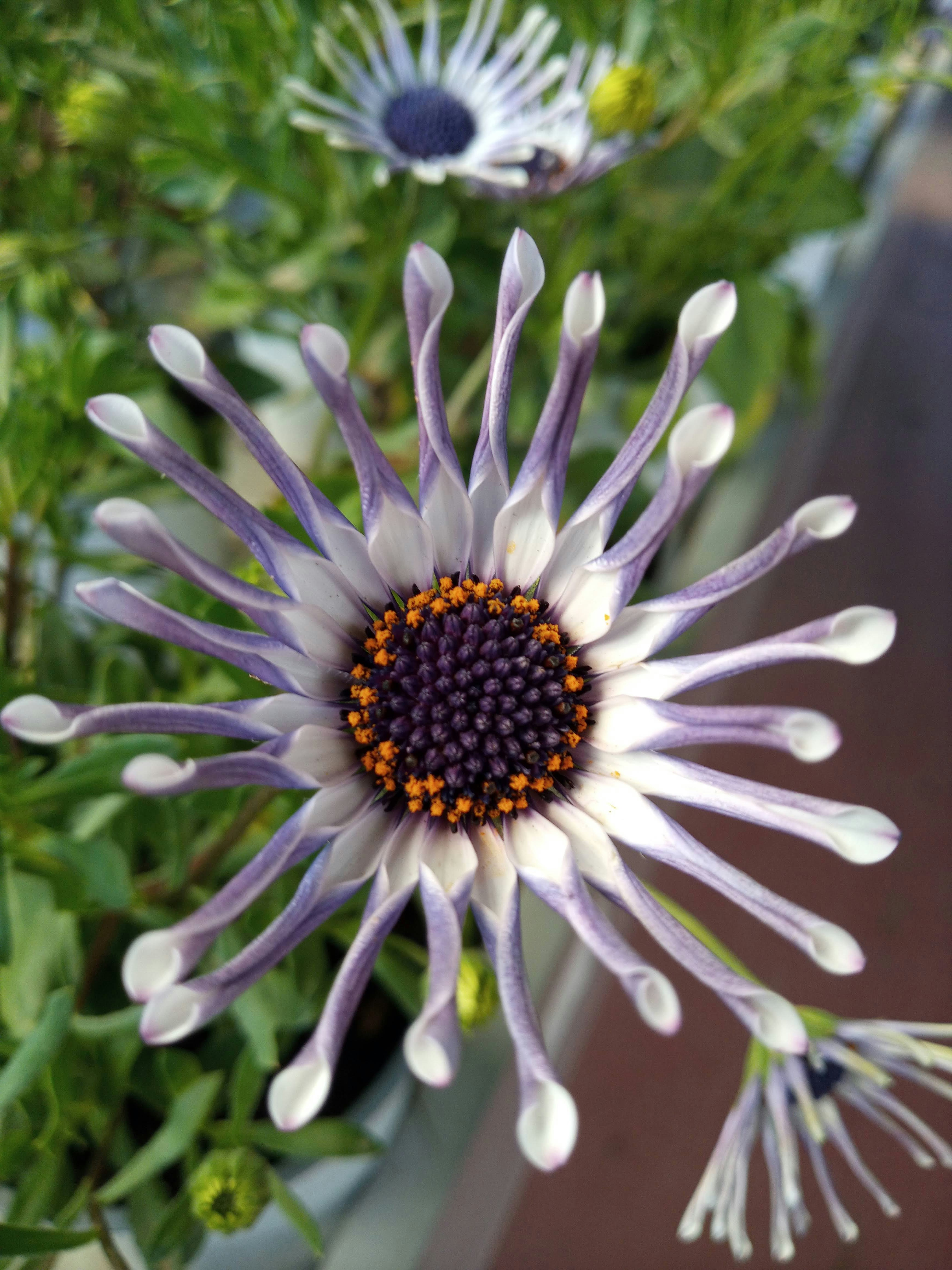 Photo by analanguagecoach