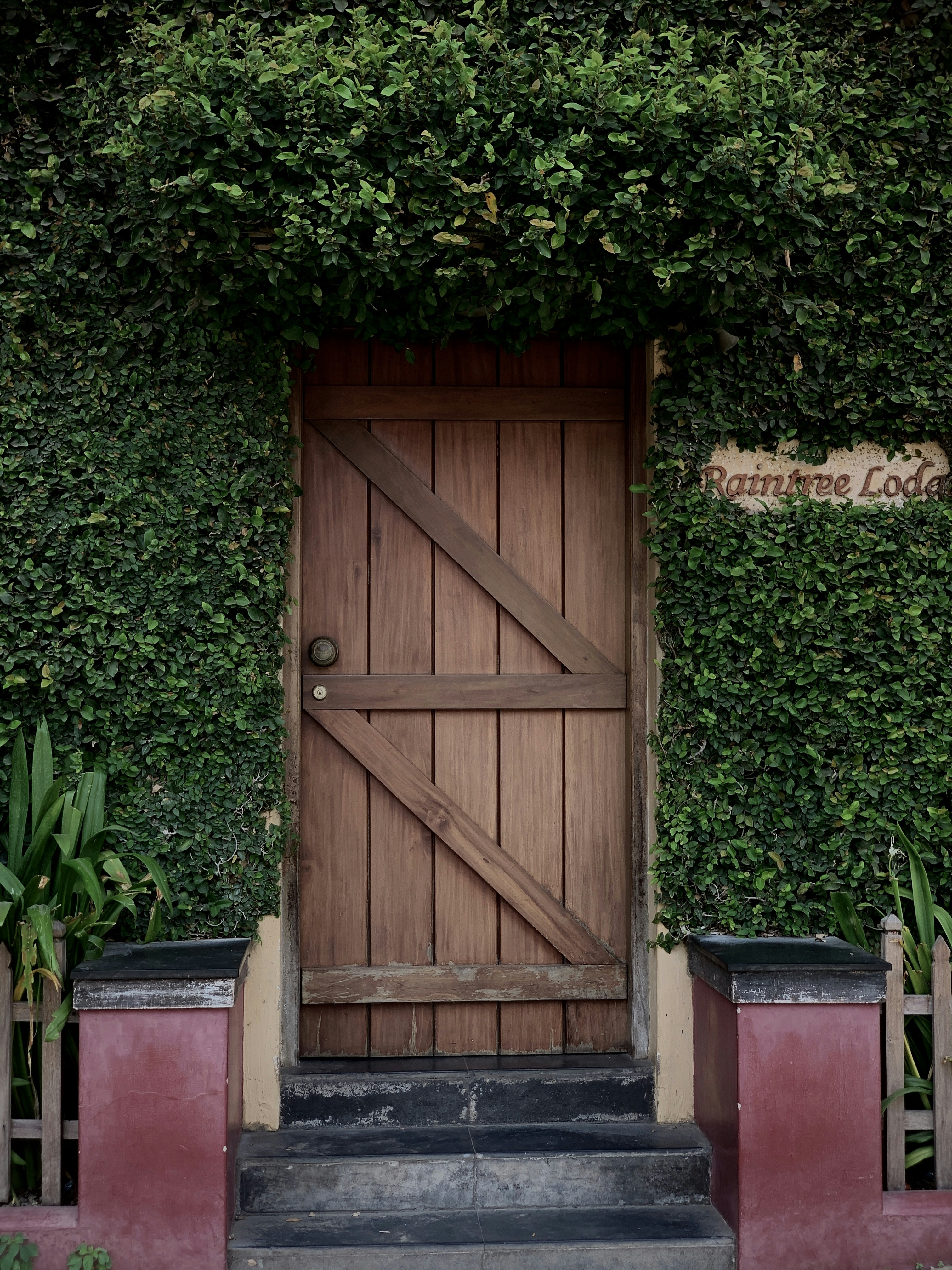 Photo by nevillegeorge