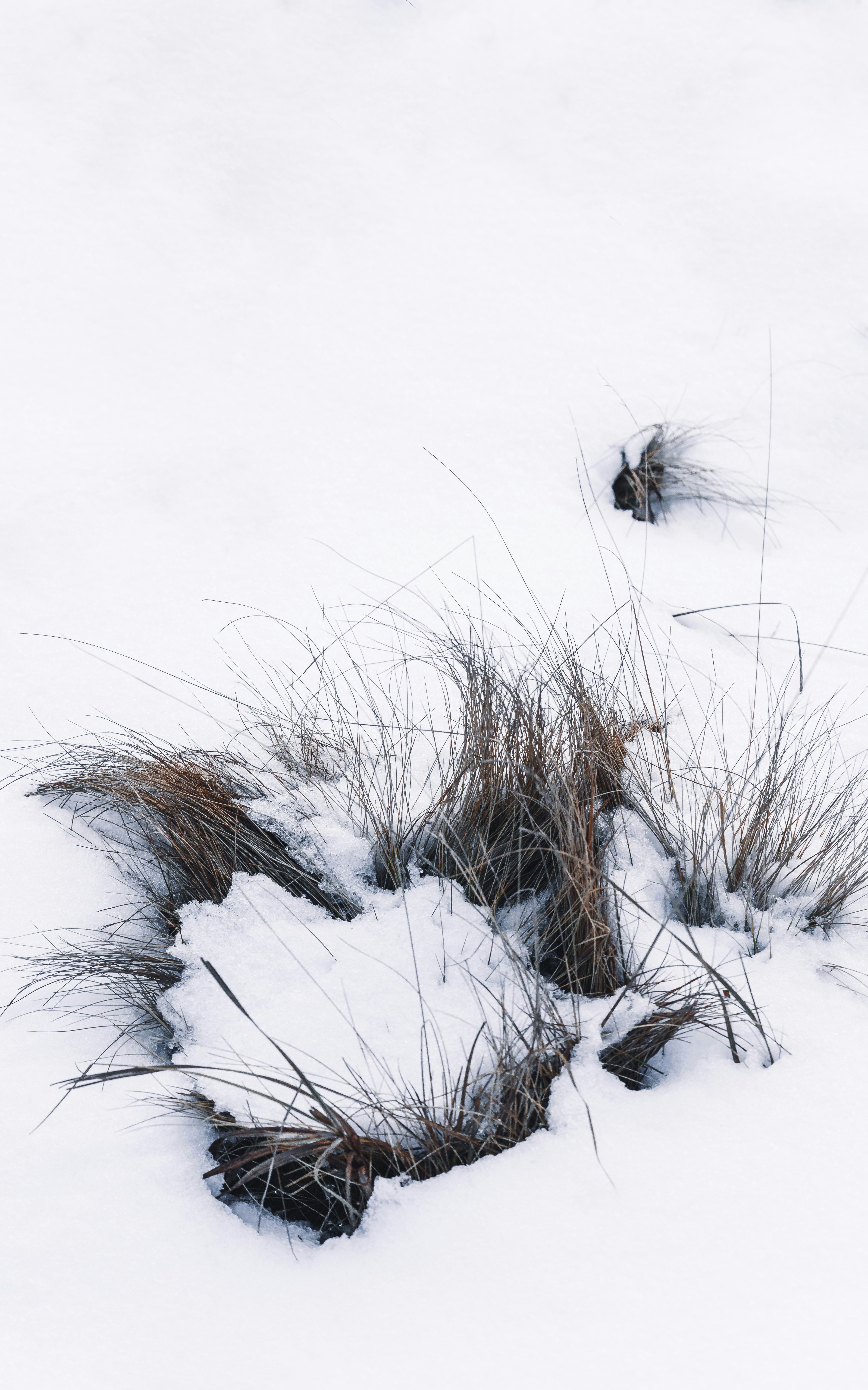 Photo by maksym_tymchyk