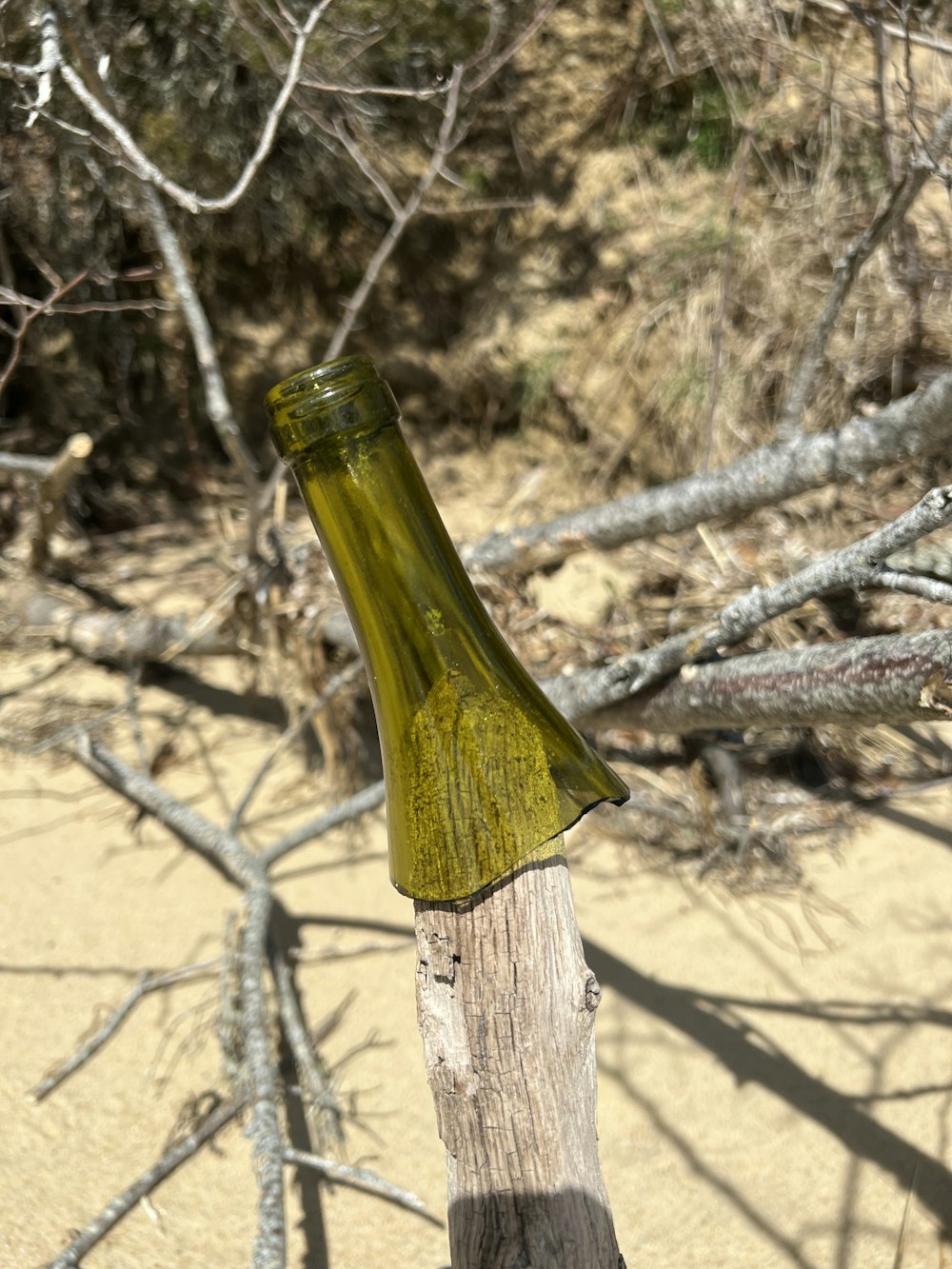 a green bottle sitting on top of a wooden post