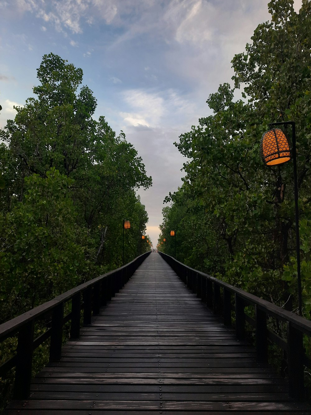 a long wooden bridge surrounded by lots of trees