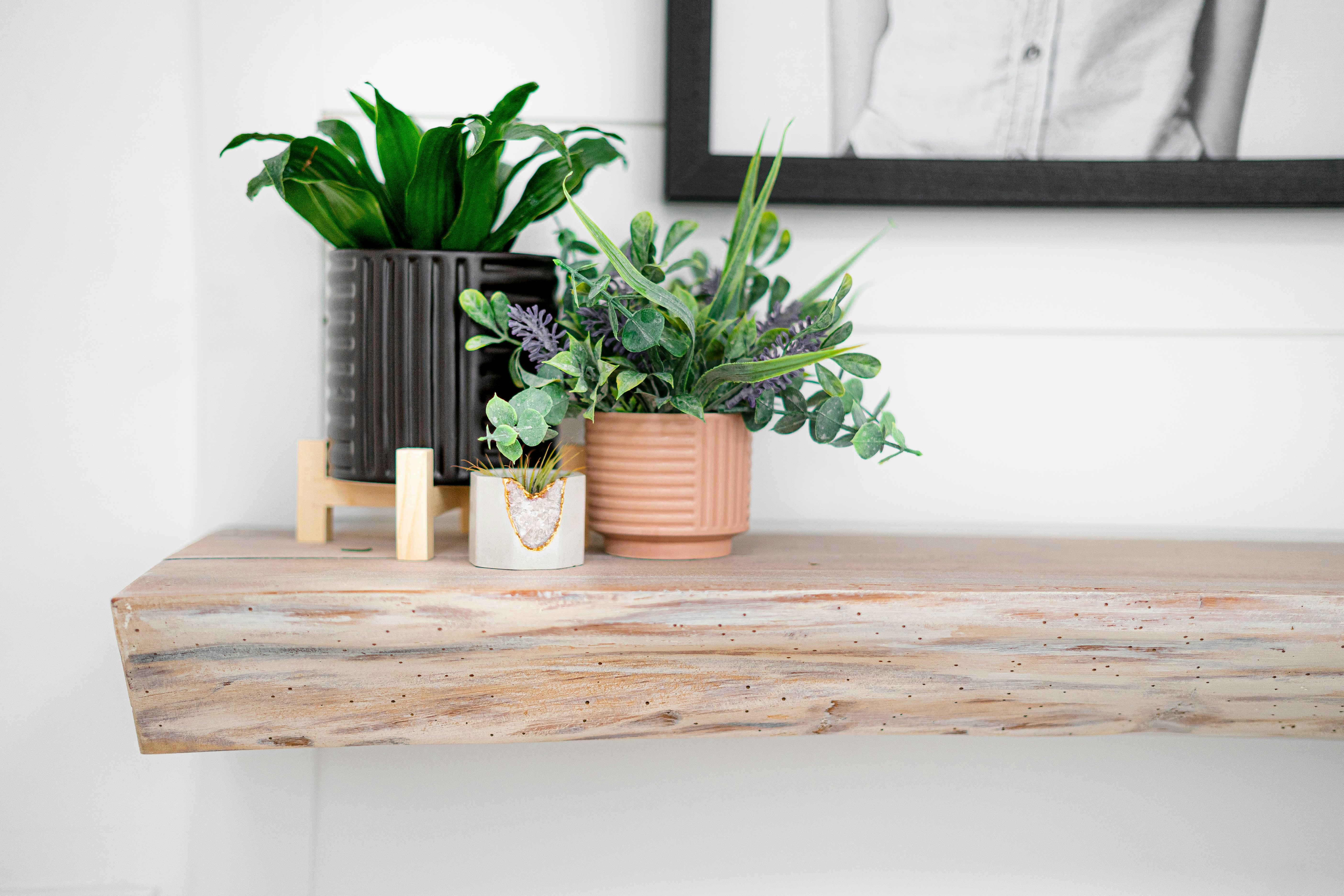 Photo by chrishardyphotography