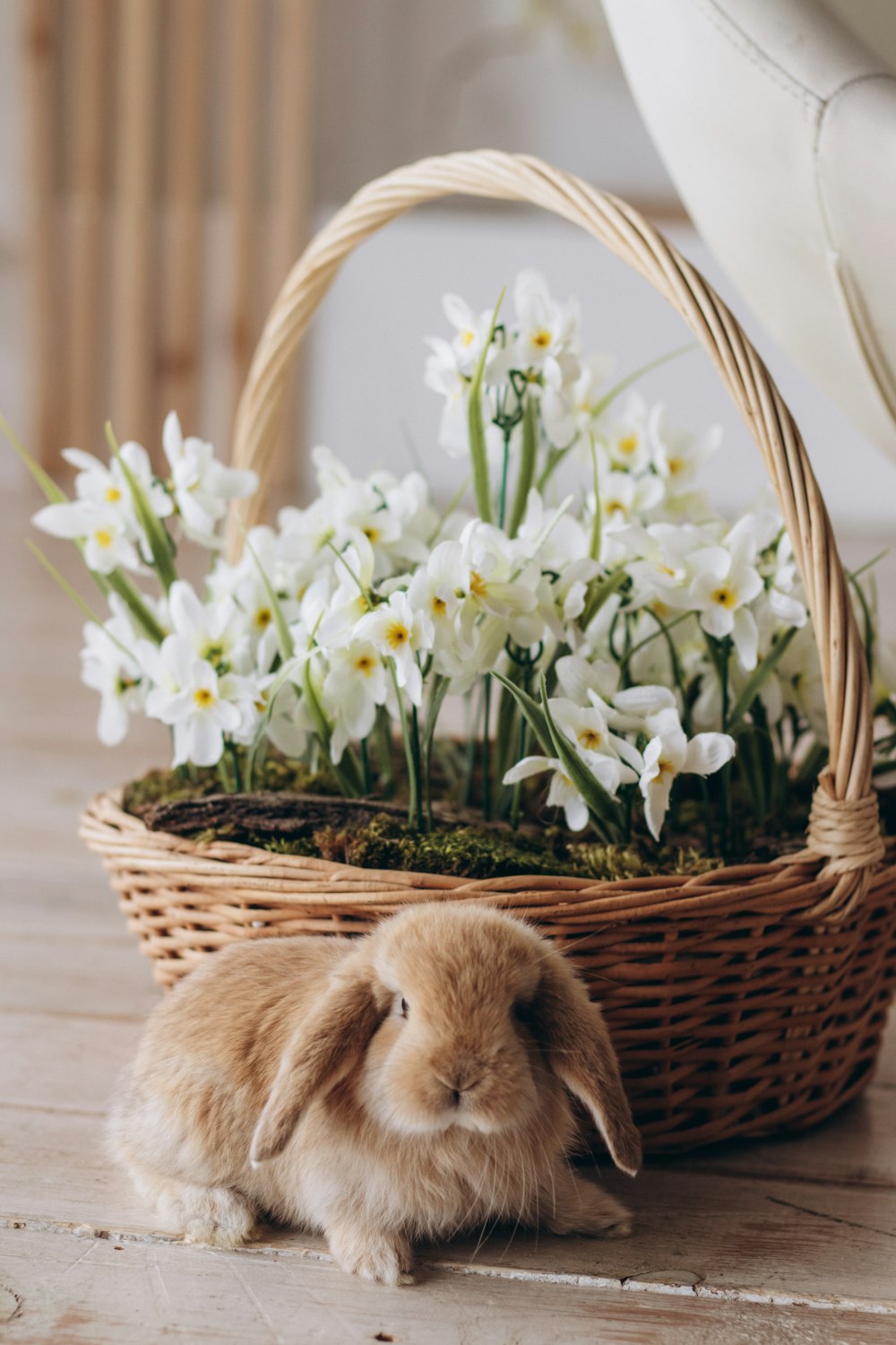 a small rabbit sitting next to a basket of flowers