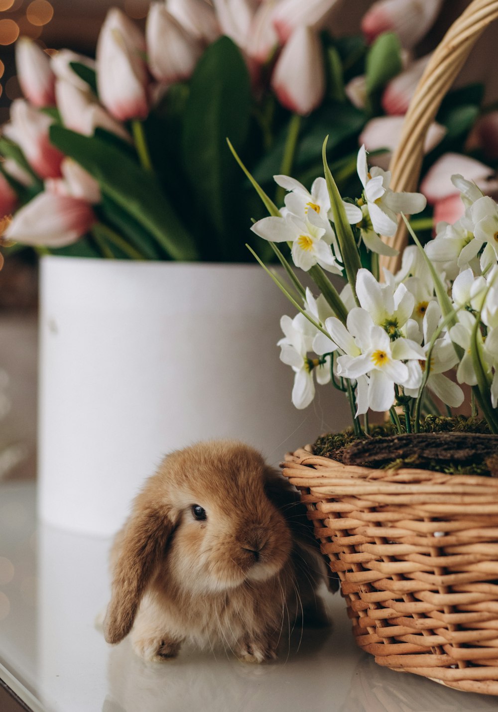 a small rabbit sitting next to a basket with flowers