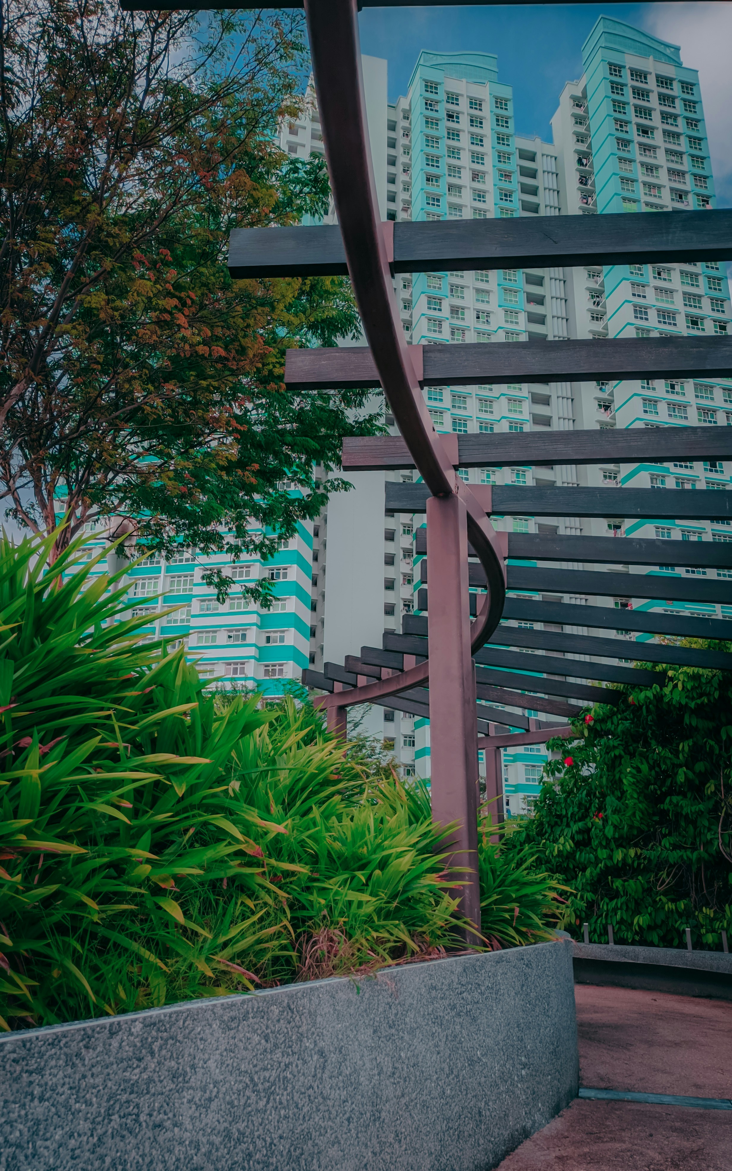 Photo by chamal_prasanna