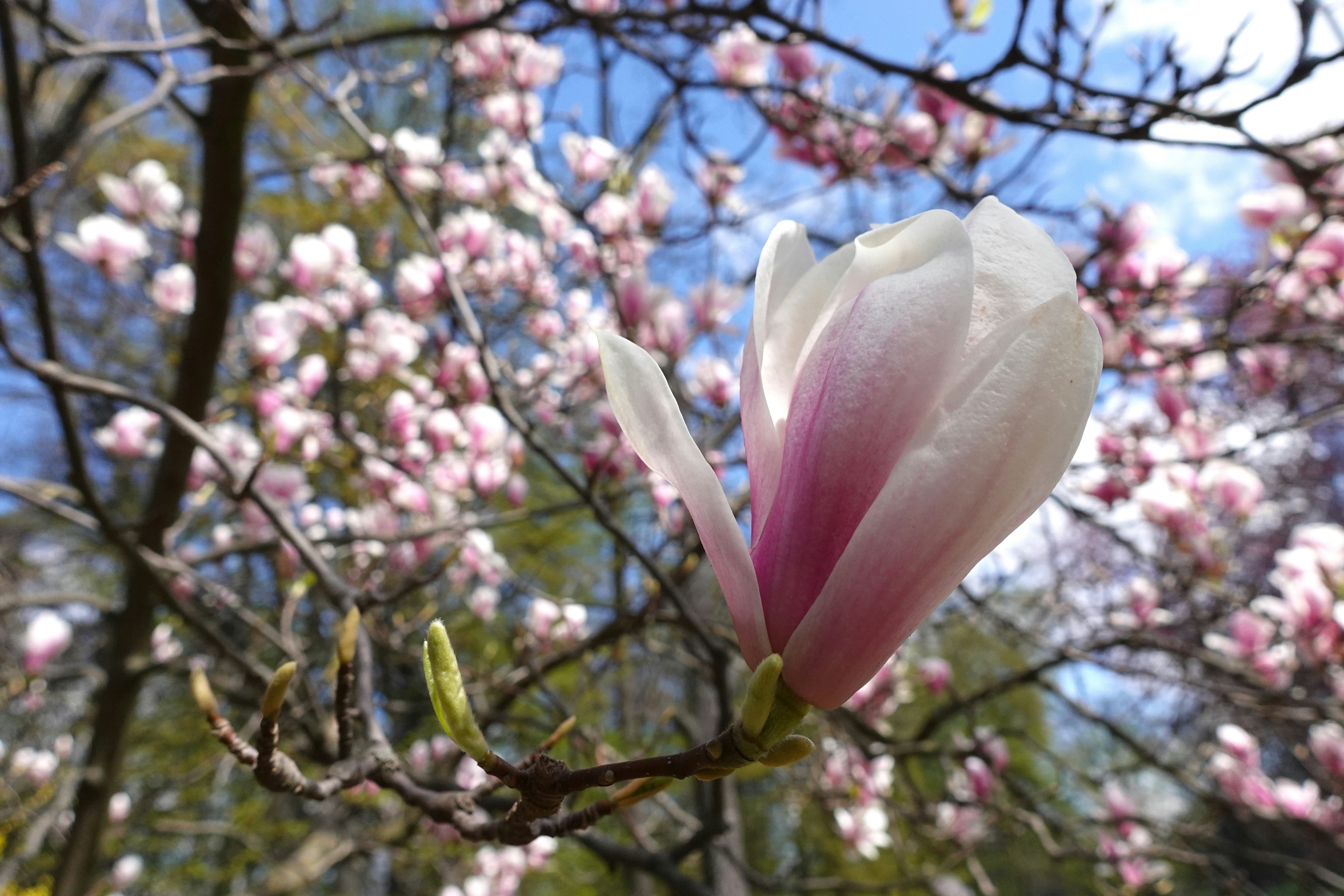 Photo by stephan_sargas