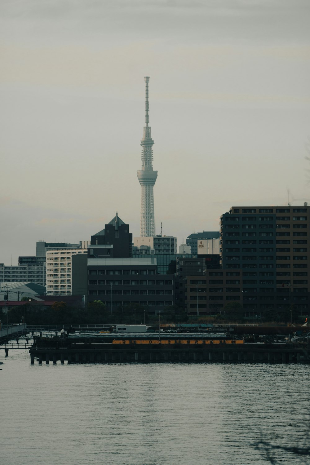 a large body of water with a city in the background