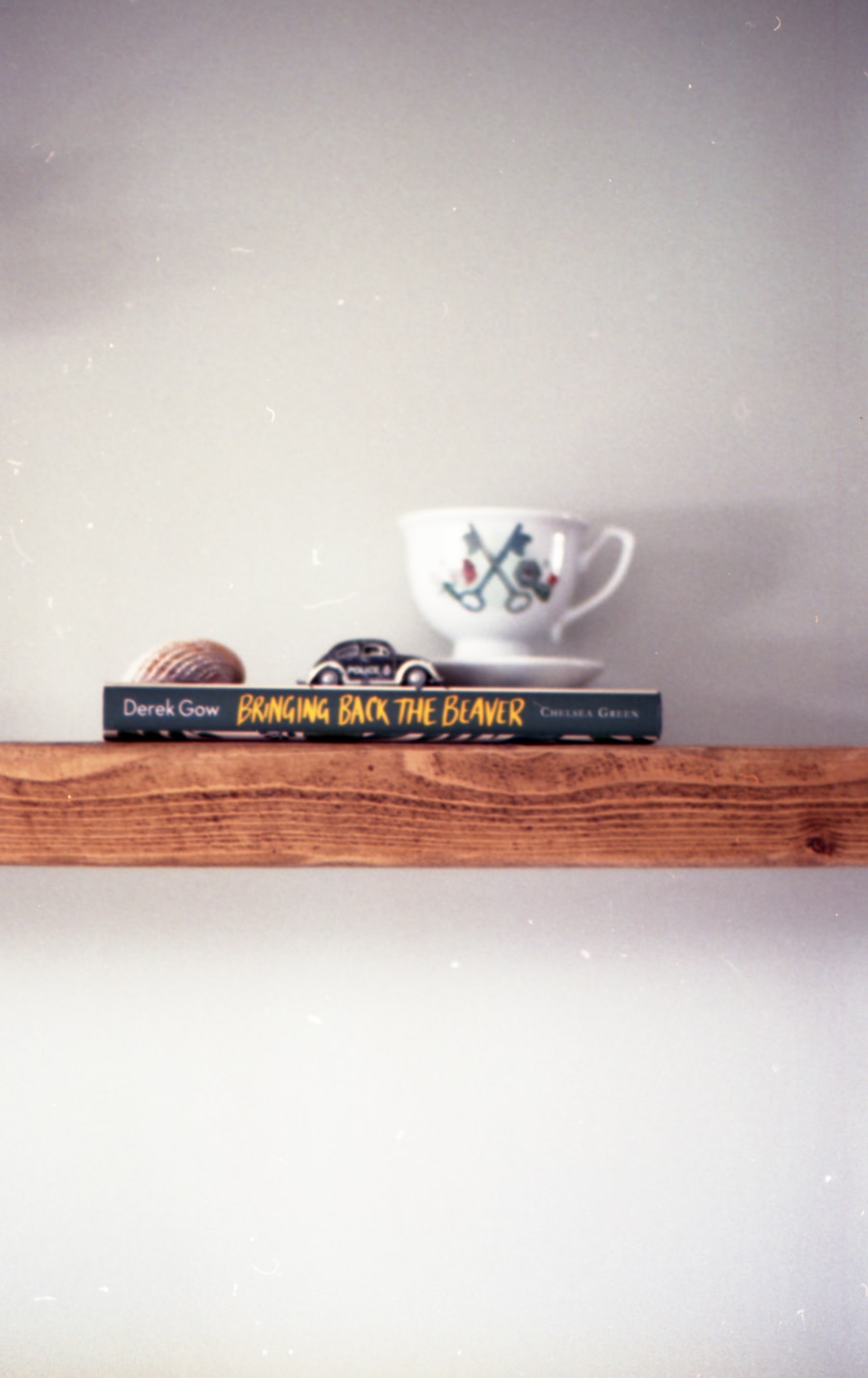 Tea cup on wooden shelf