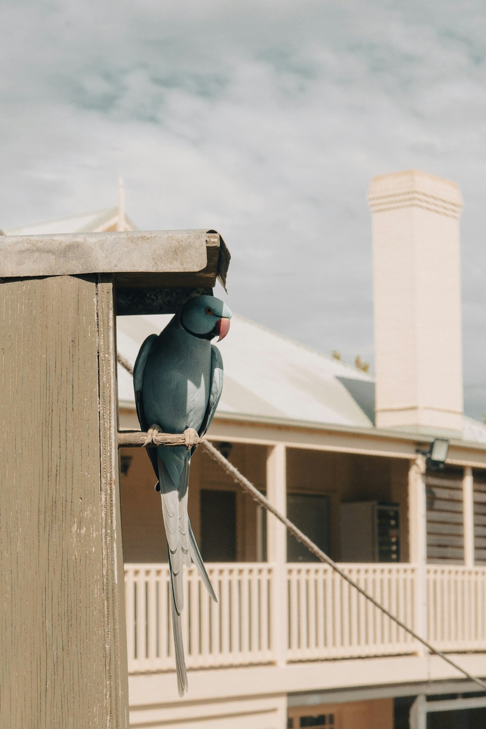 a bird is perched on a wooden post