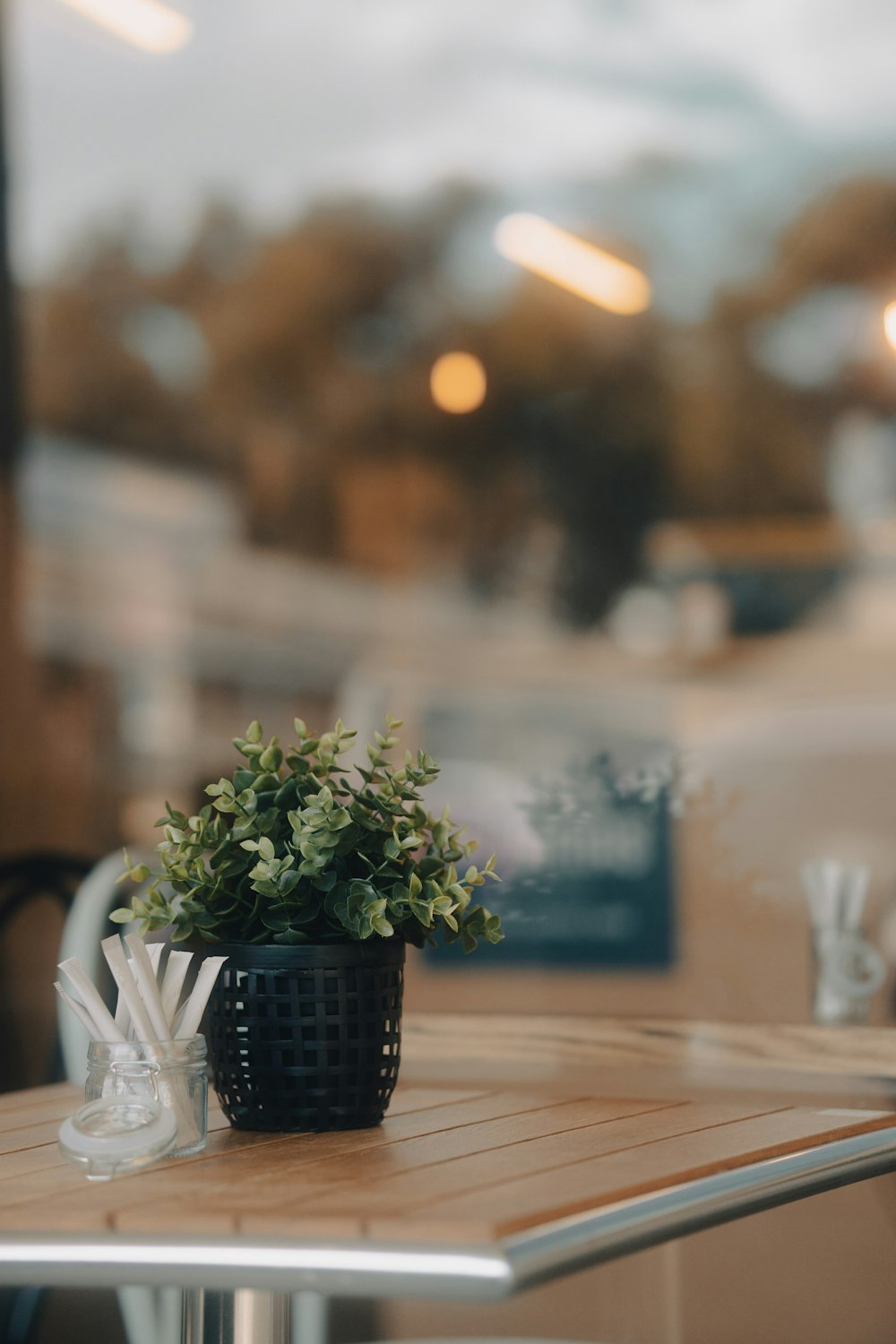 a potted plant sitting on top of a wooden table