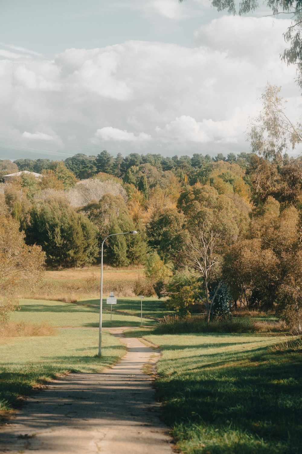 a road in the middle of a grassy field