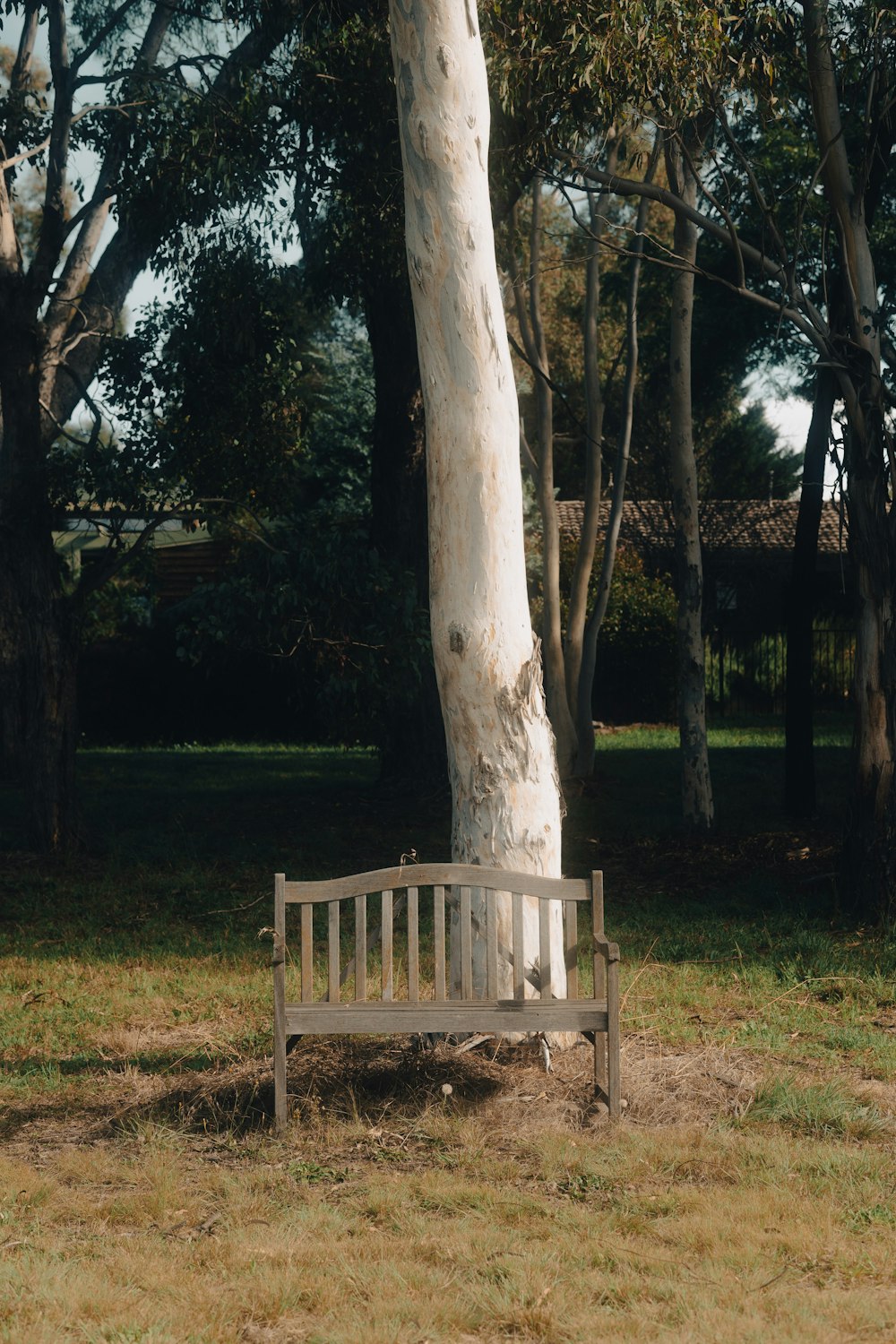 a wooden bench sitting under a tree in a park