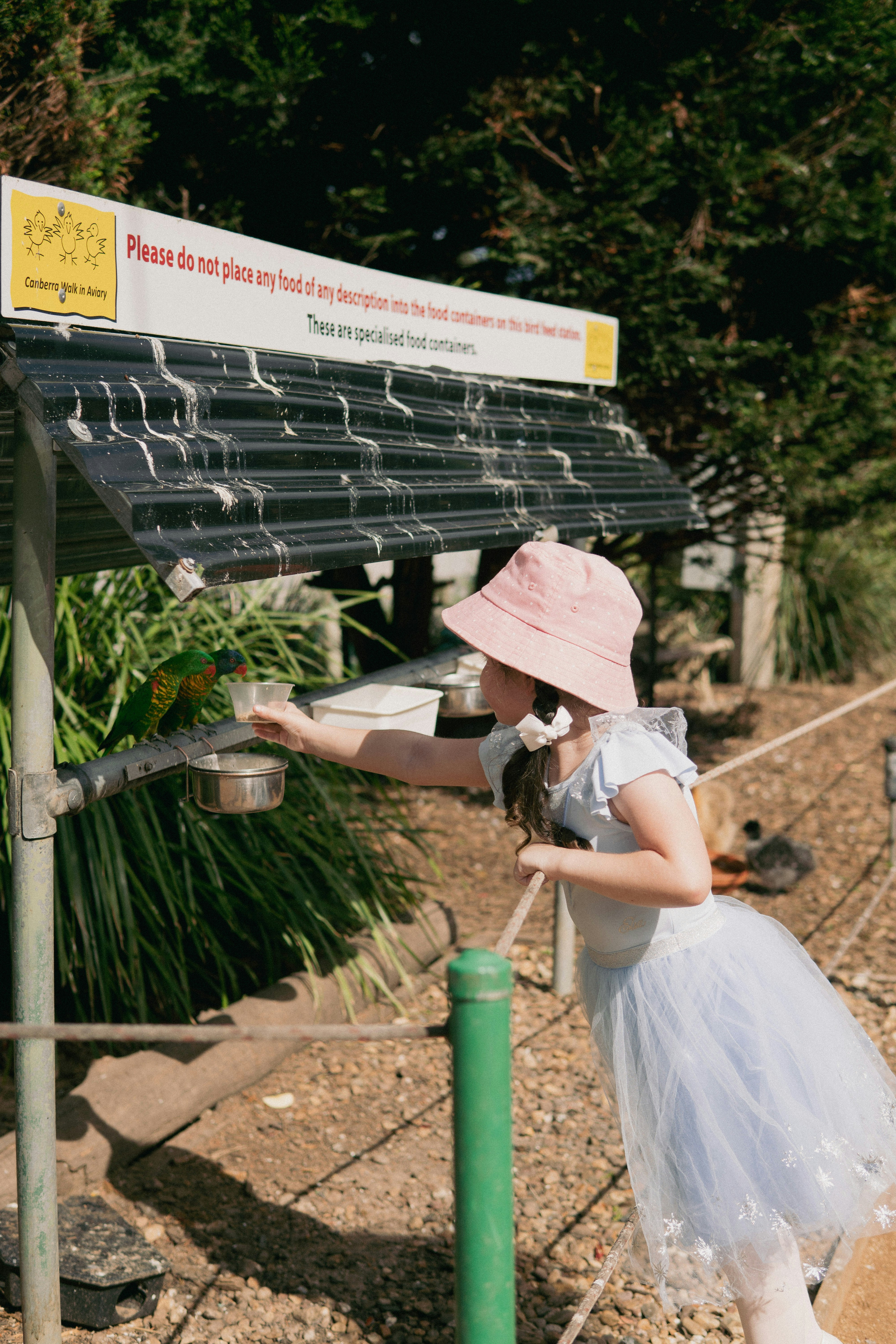 The Adventurous Guide