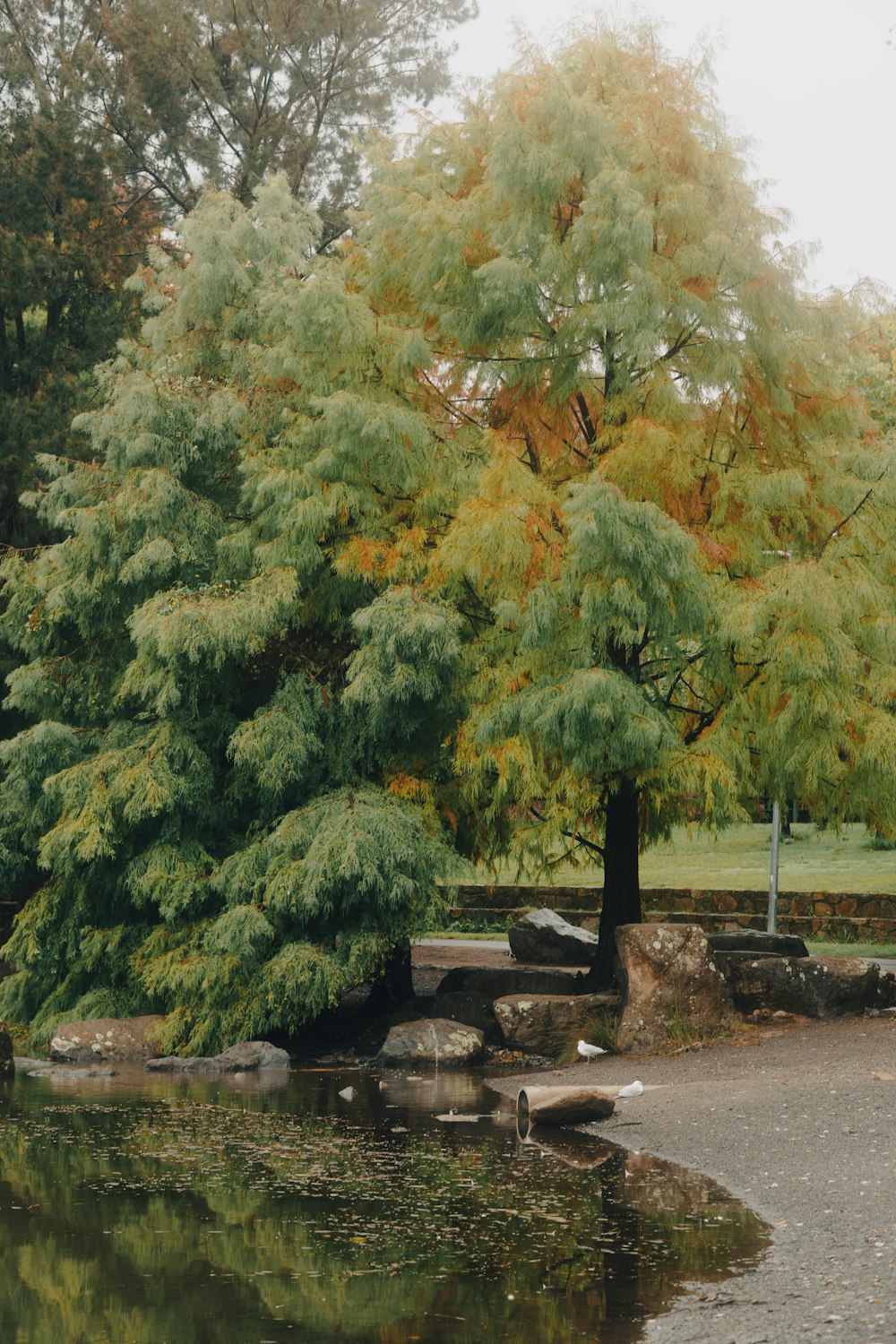 a park bench sitting next to a lake