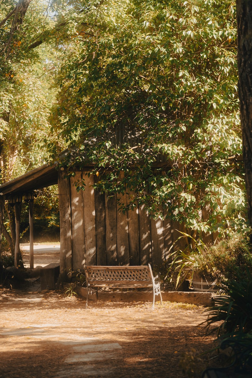 a wooden bench sitting in the middle of a forest