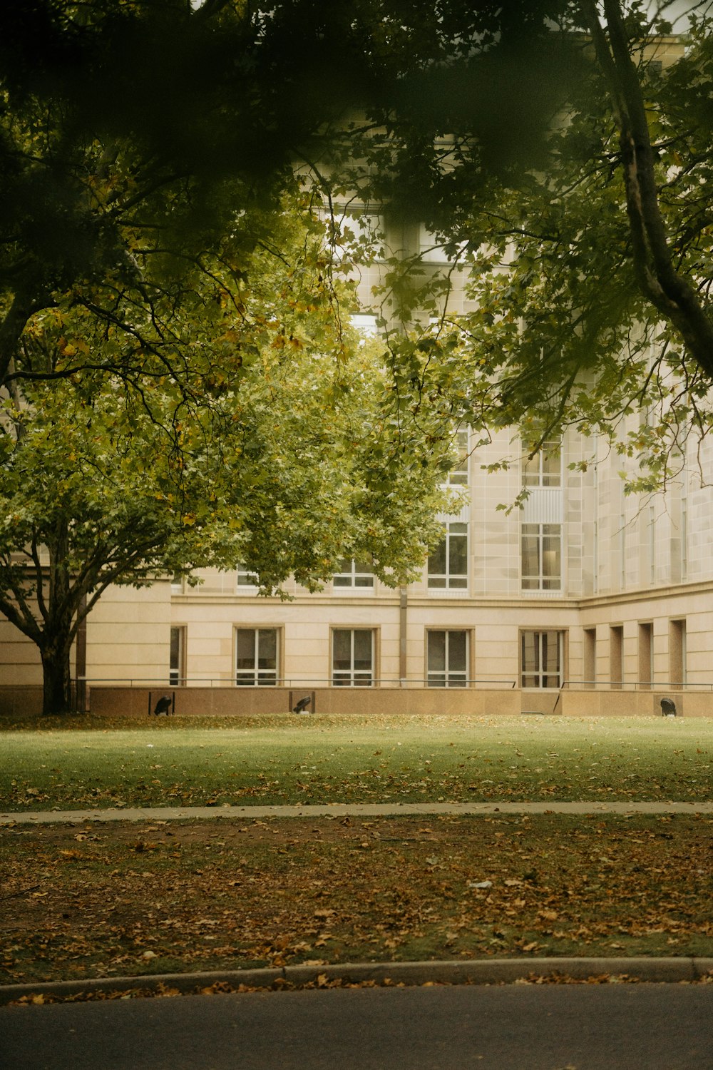 a large building sitting next to a lush green park