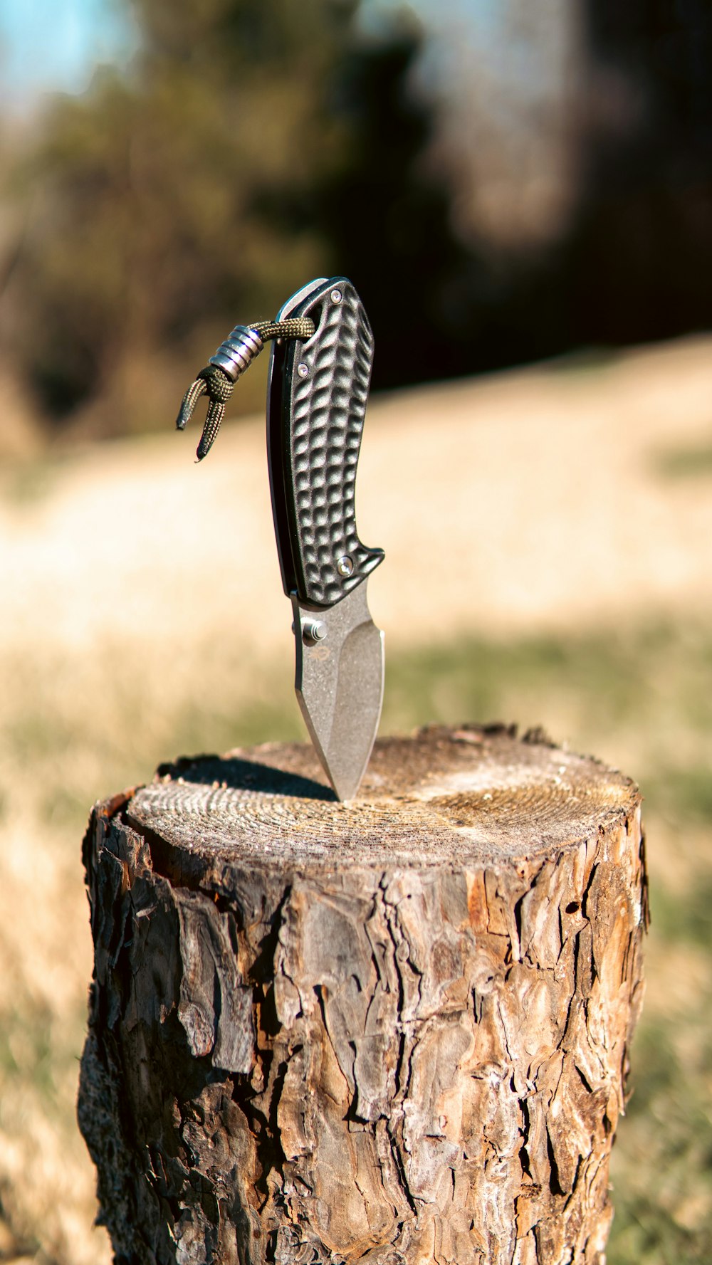 a knife sticking out of a tree stump
