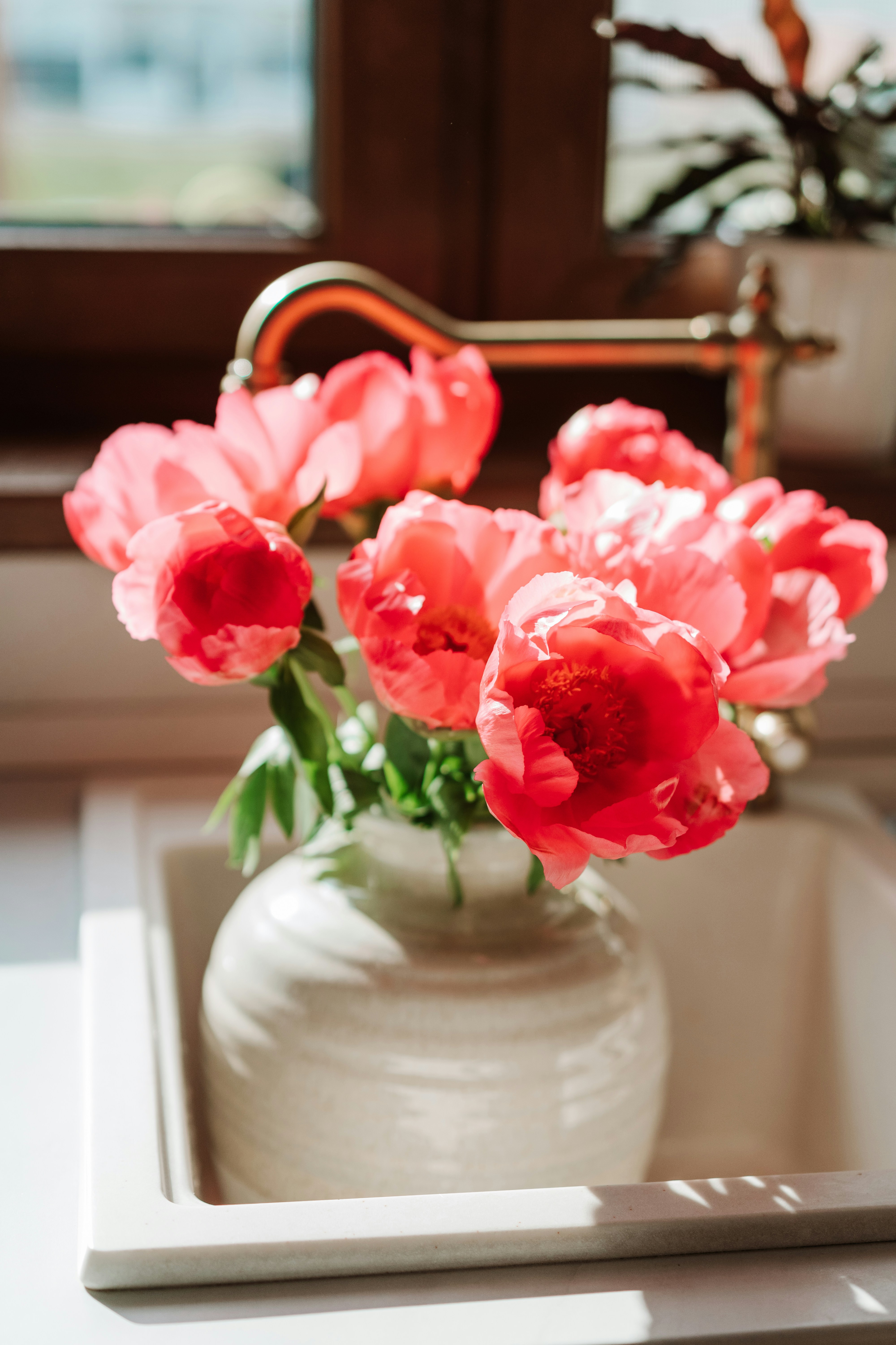 Photo by olimpiaborodiunsplash