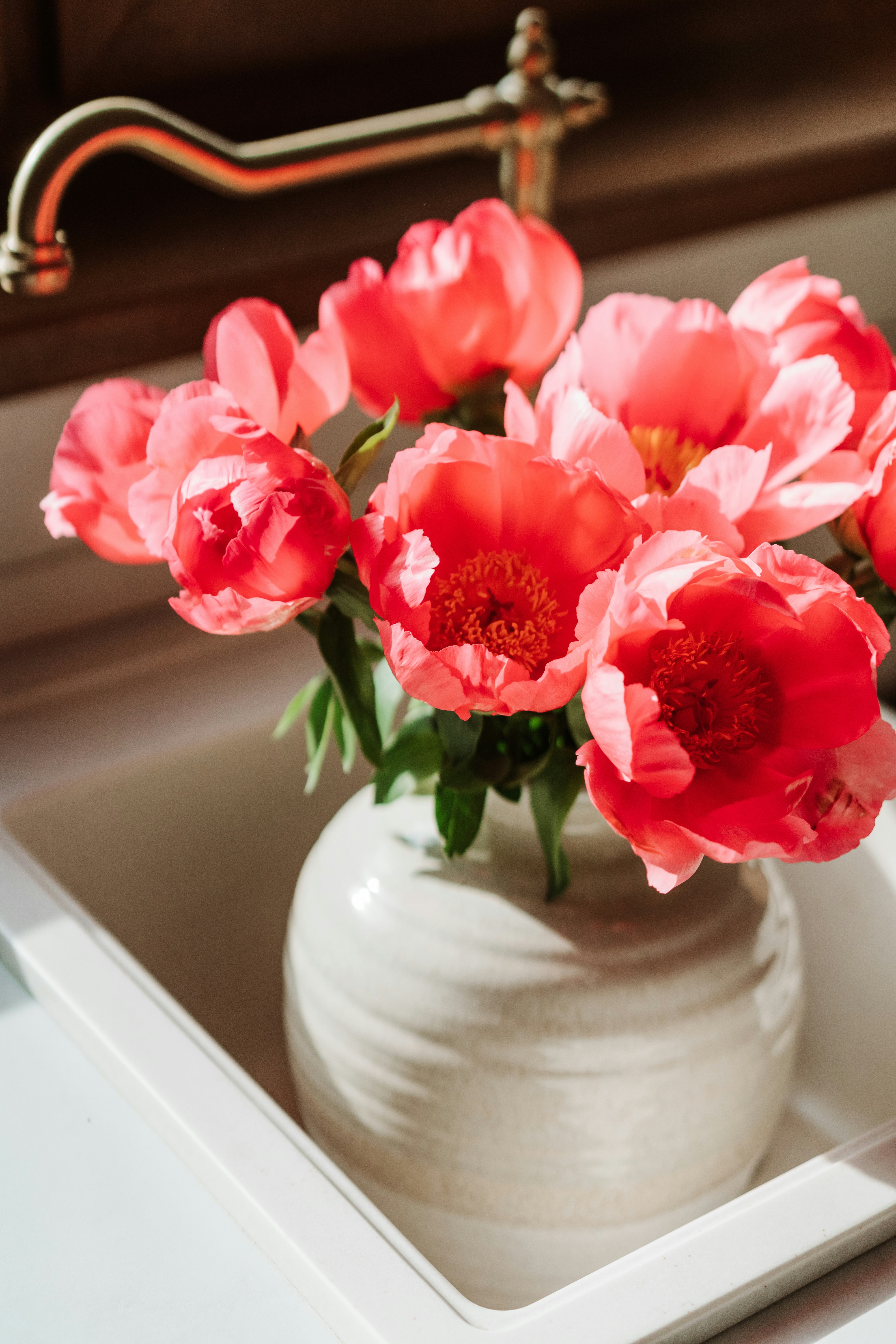 Photo by olimpiaborodiunsplash