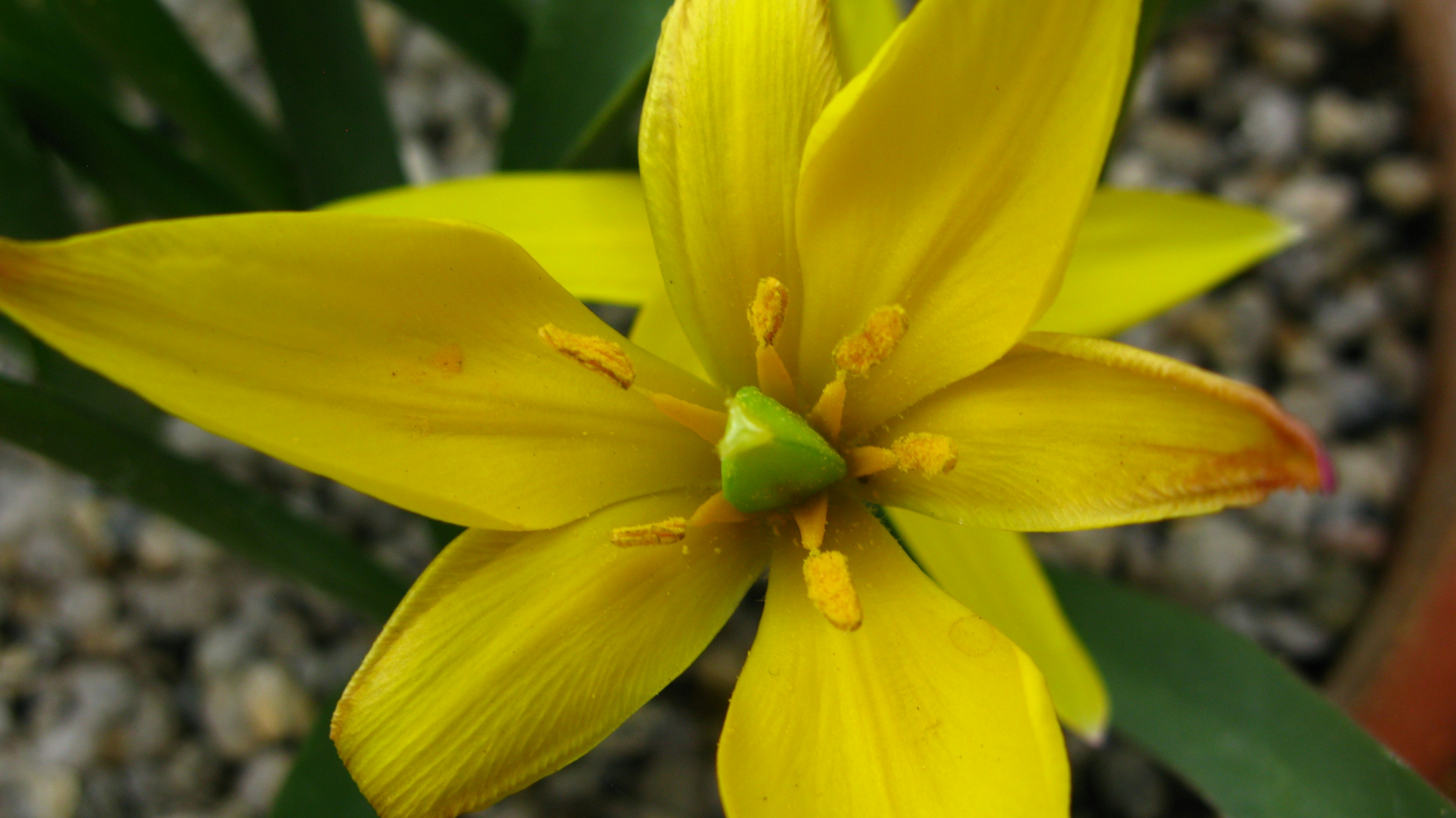 Photo by tom_smeeton