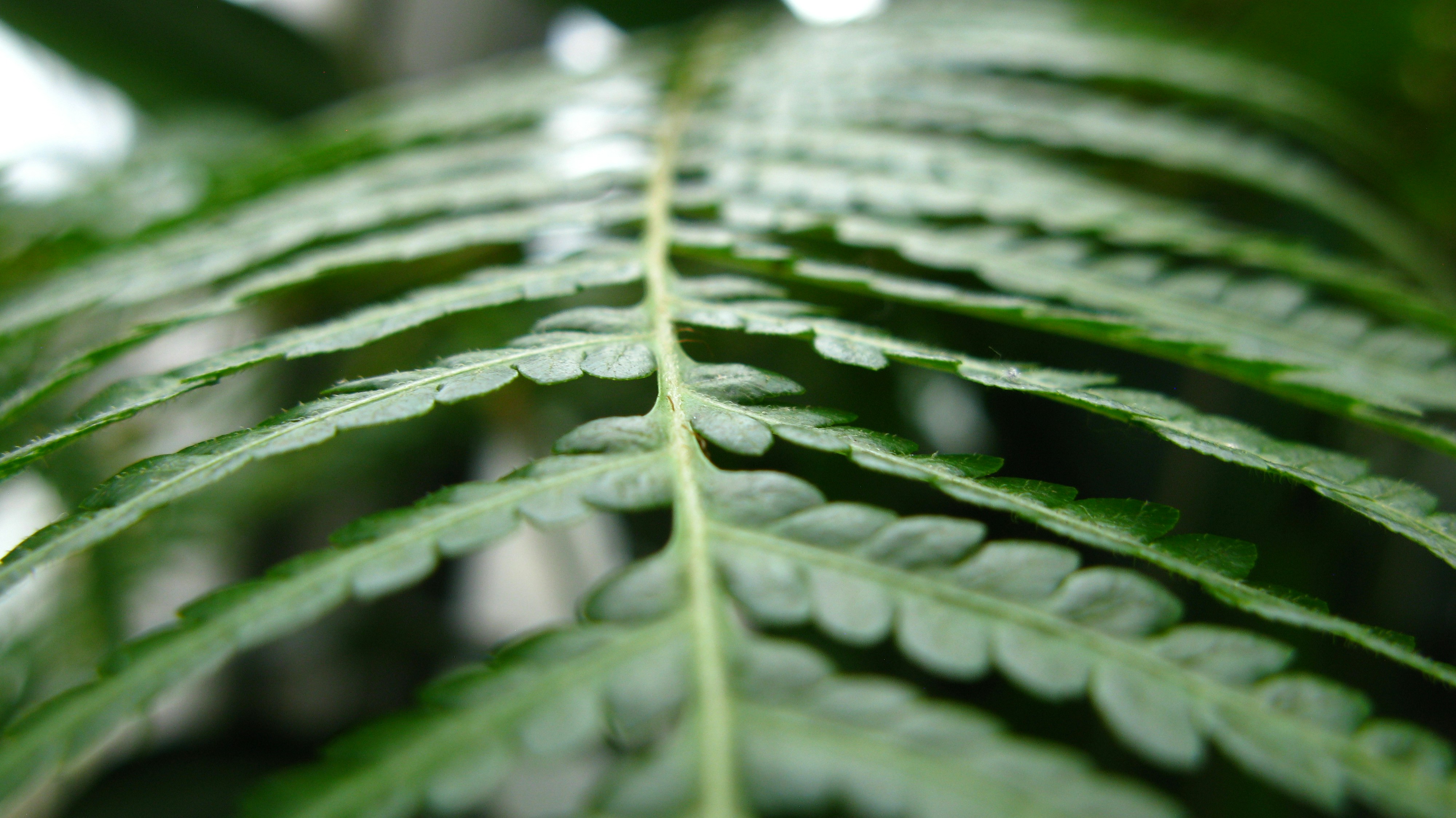 Photo by tom_smeeton