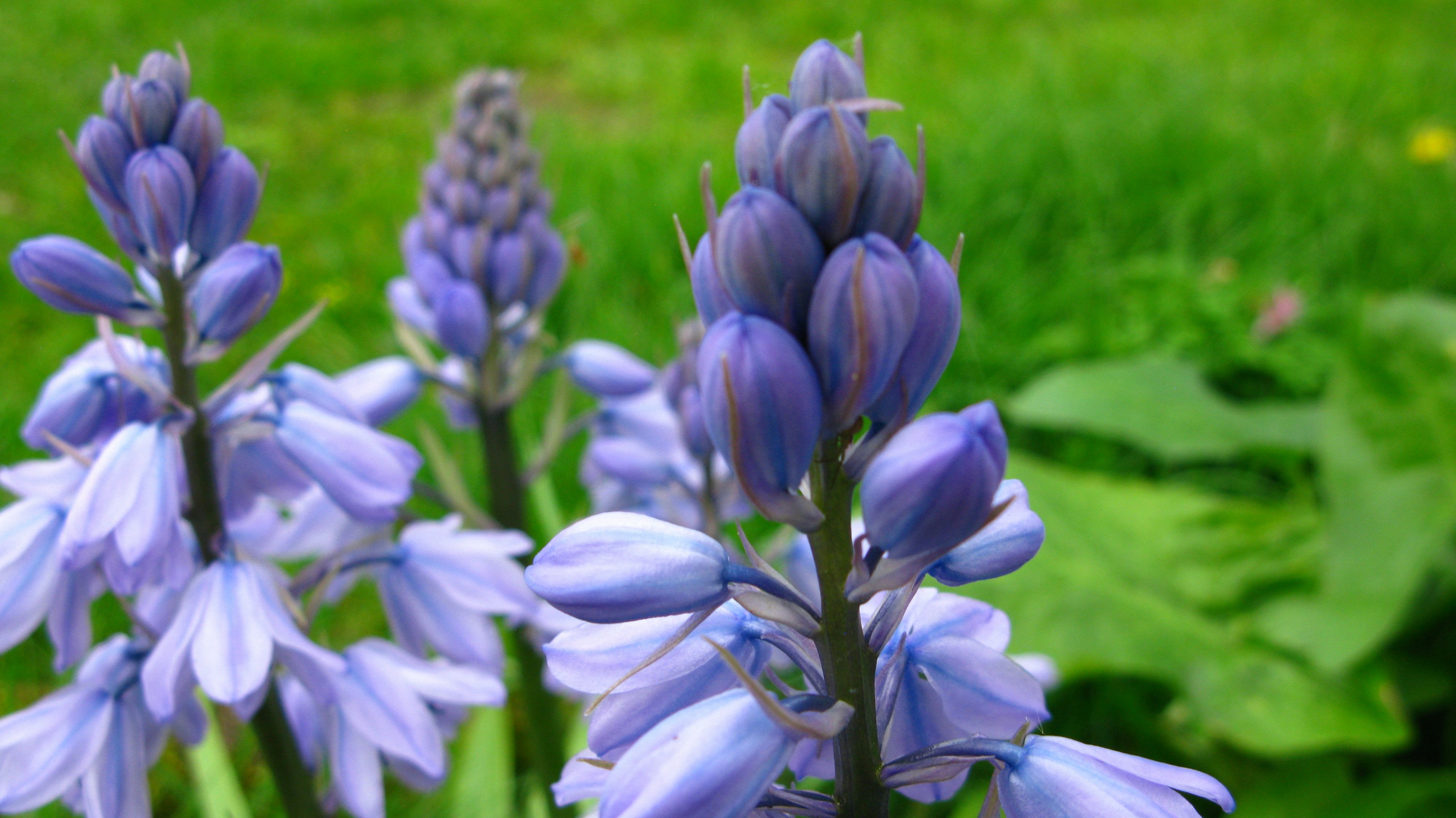 Photo by tom_smeeton