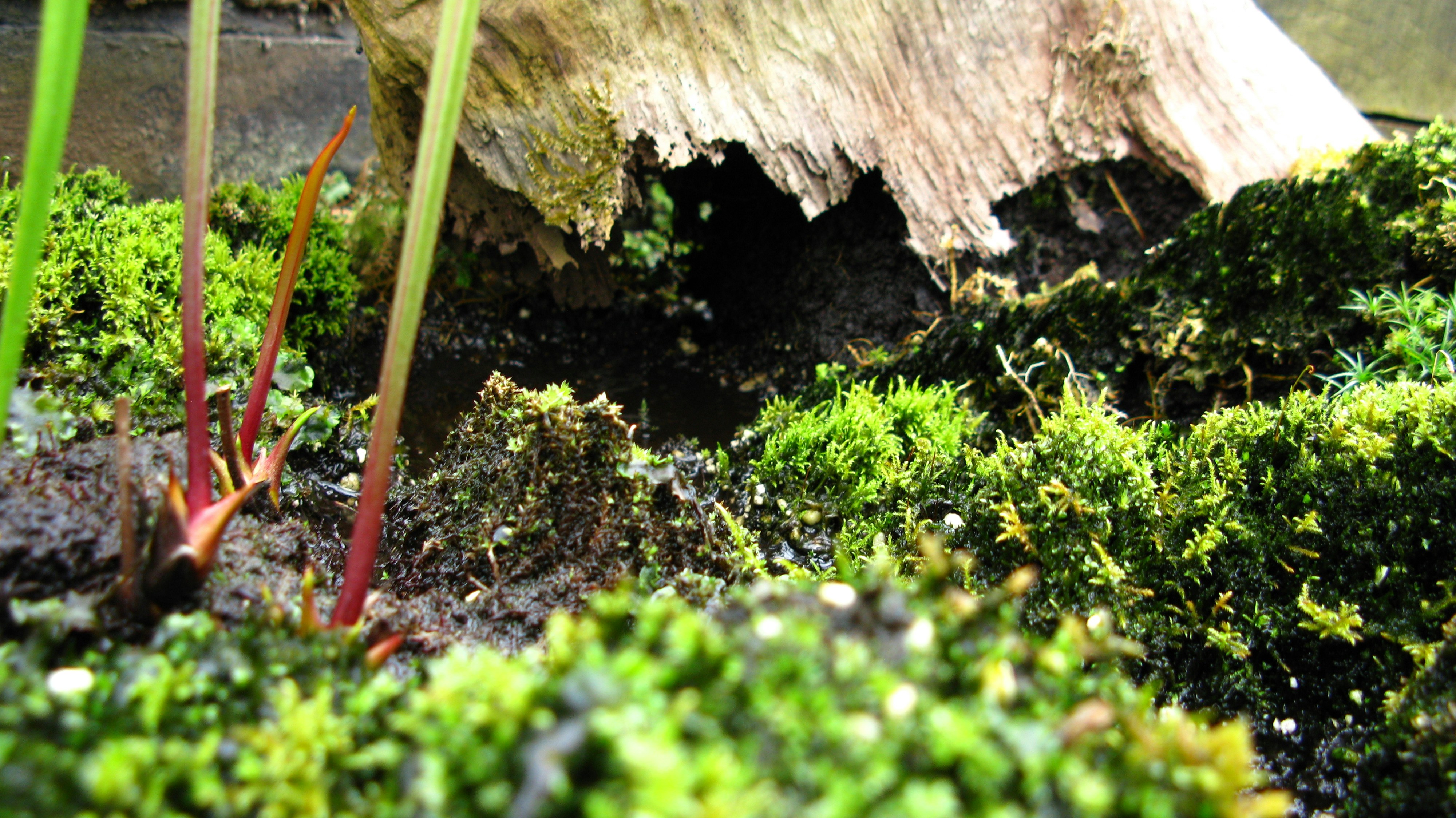 Photo by tom_smeeton