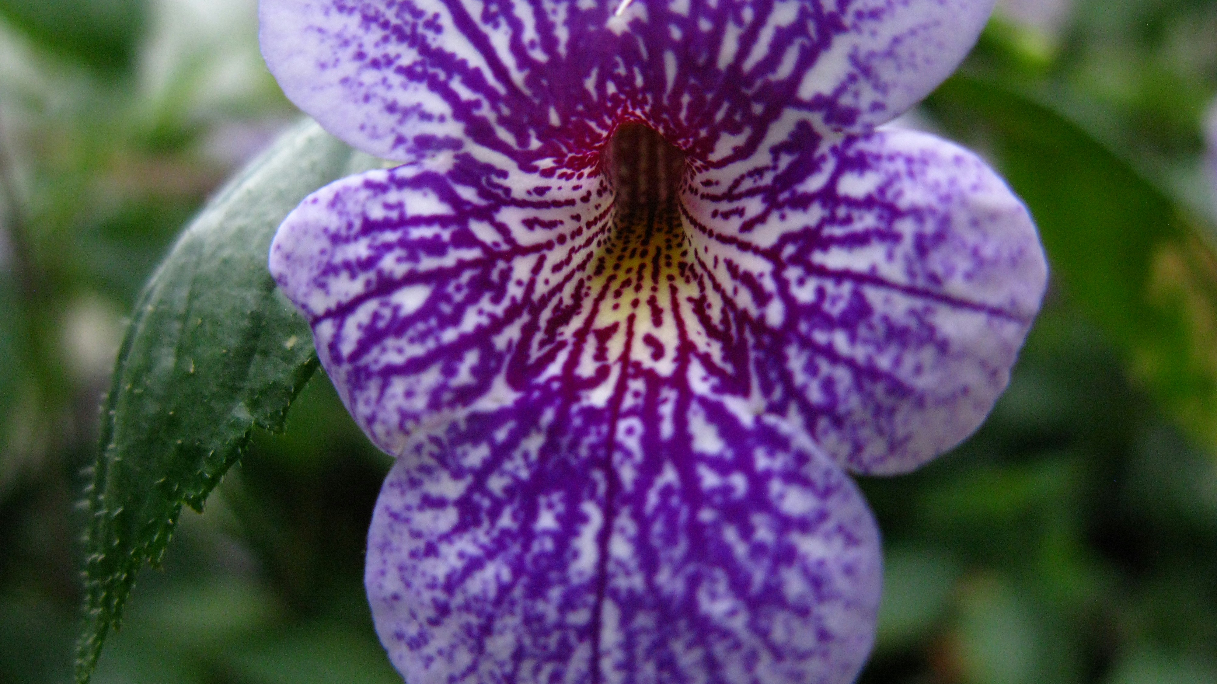 Photo by tom_smeeton