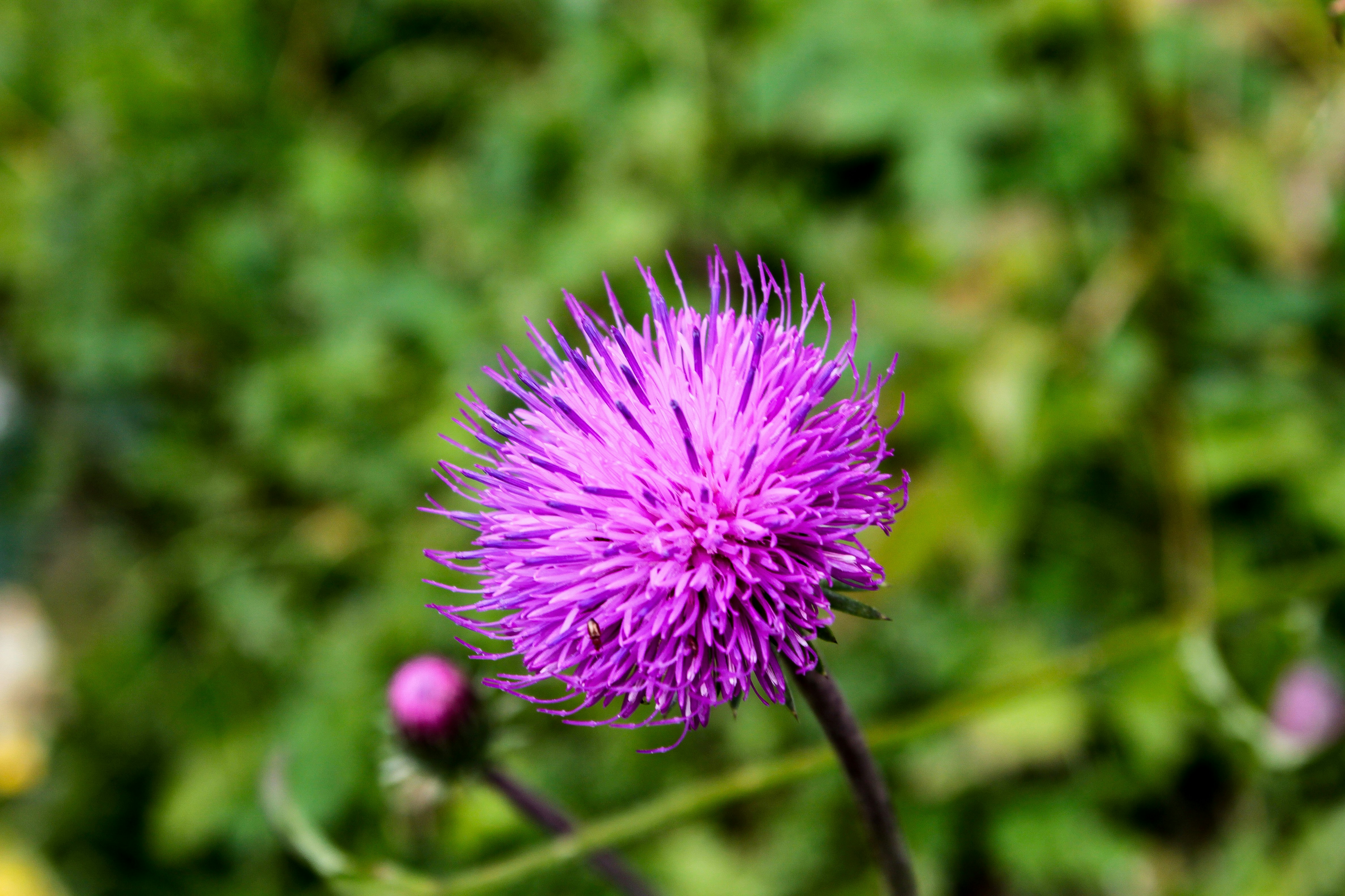 Photo by matthieur68