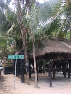 A lush tropical scene with tall palm trees surrounding a rustic thatched-roof structure. In the foreground, there is a sign that reads 'Follow That Dream'. The surrounding area is sandy, enhancing the tropical and laid-back atmosphere.