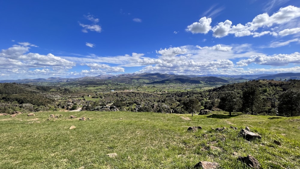 a grassy field with mountains in the distance