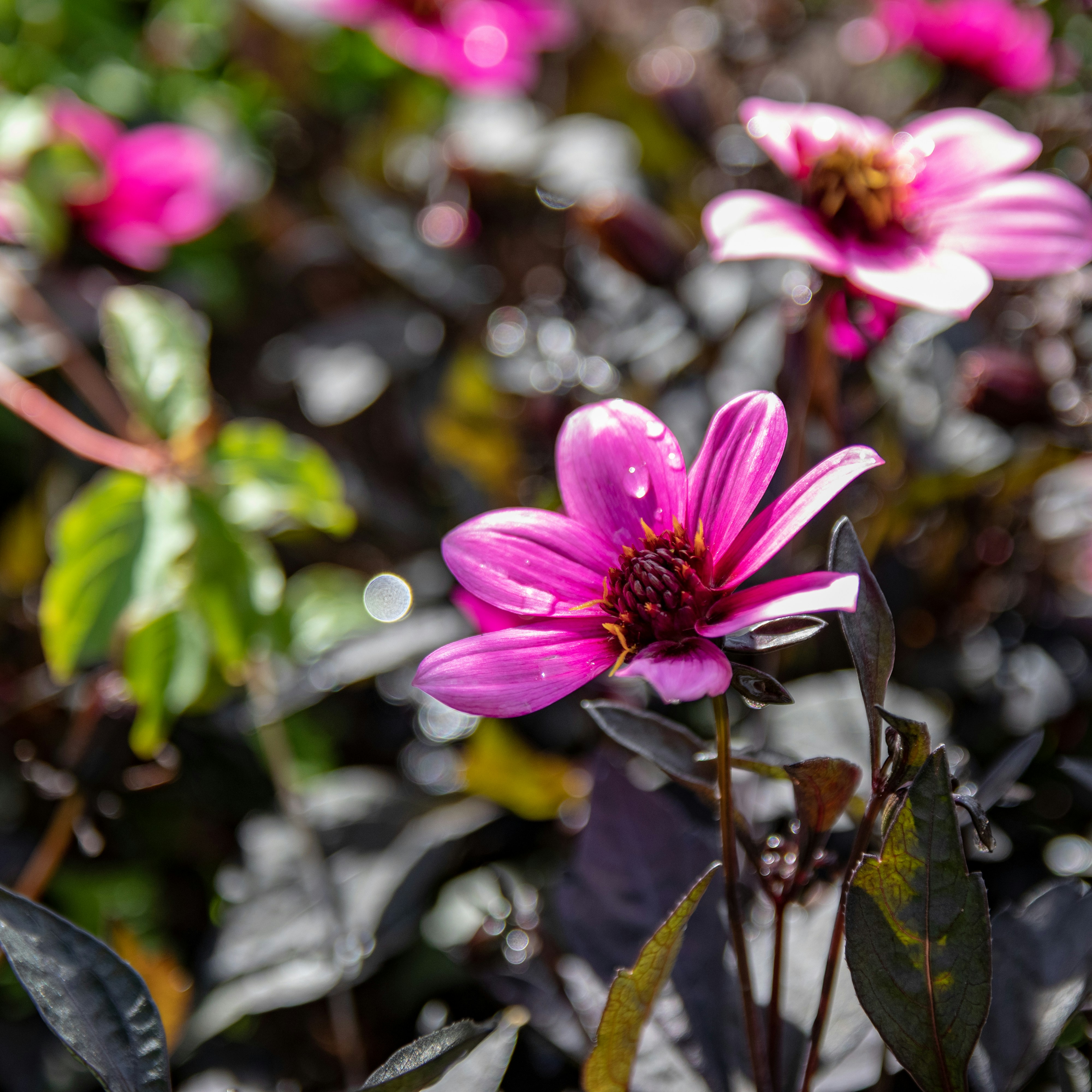 Photo by matthieur68