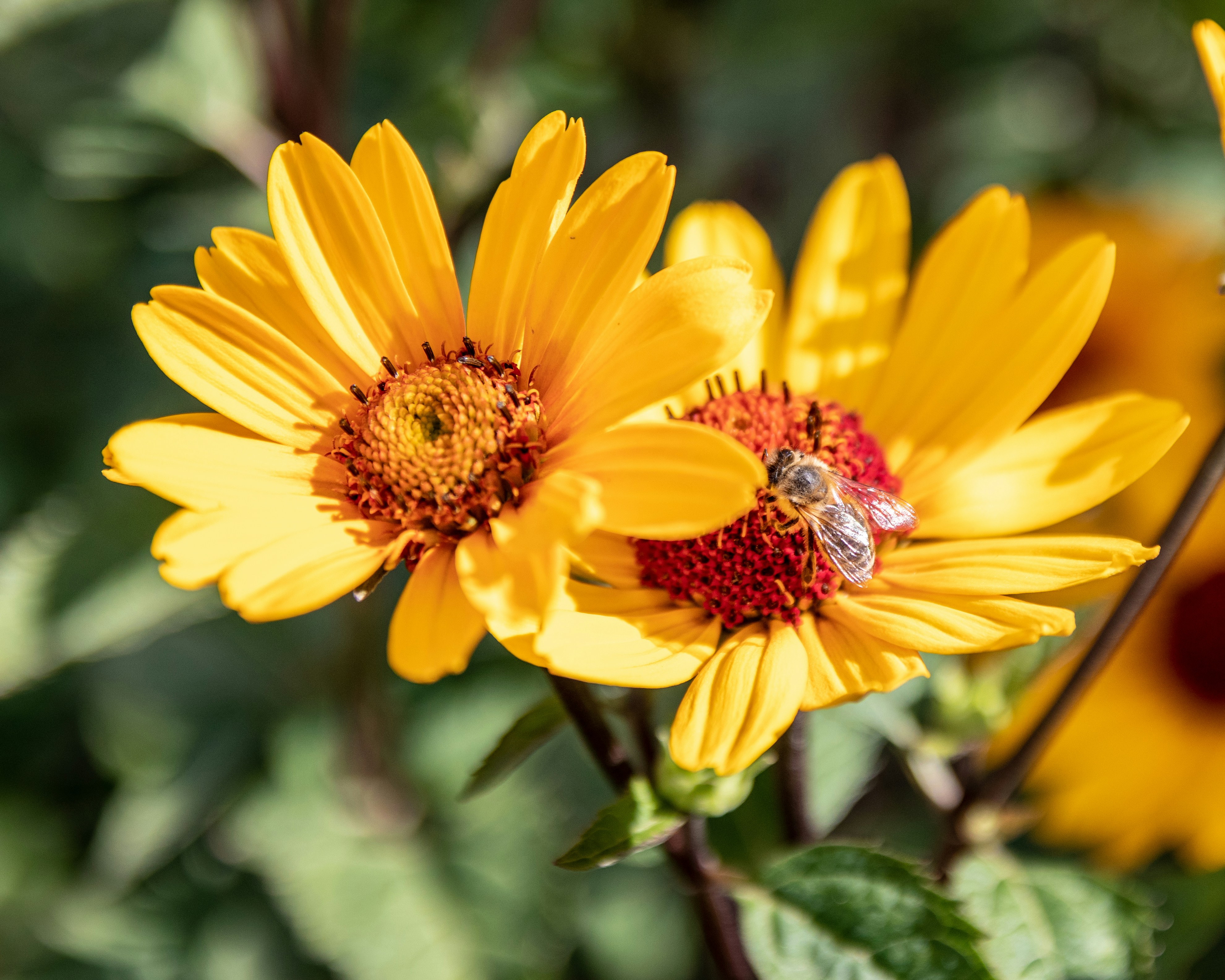 Photo by matthieur68