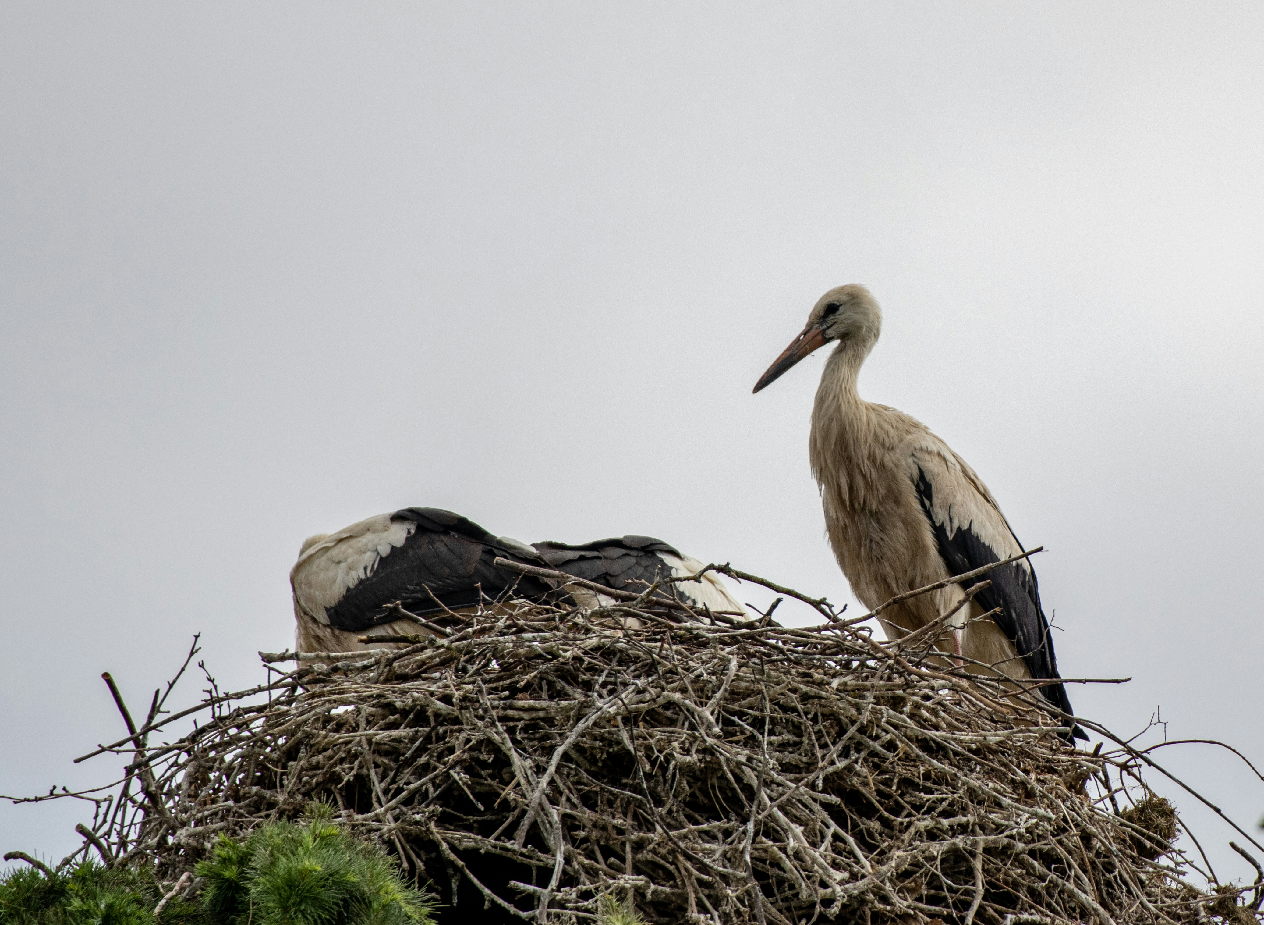 Photo by matthieur68