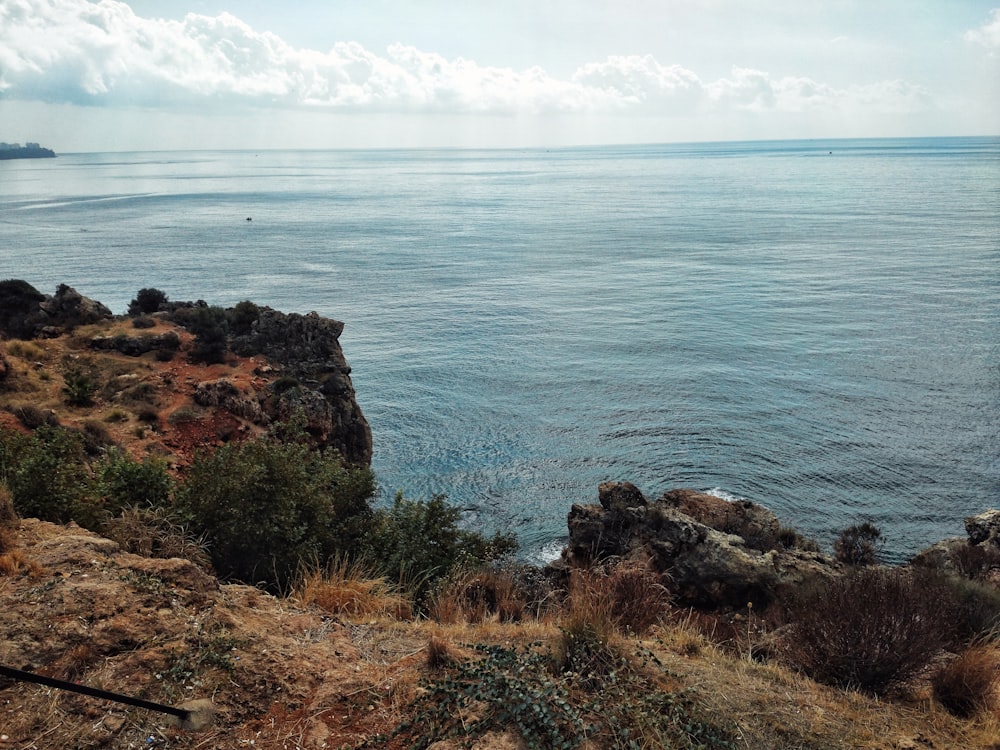 a body of water sitting next to a lush green hillside