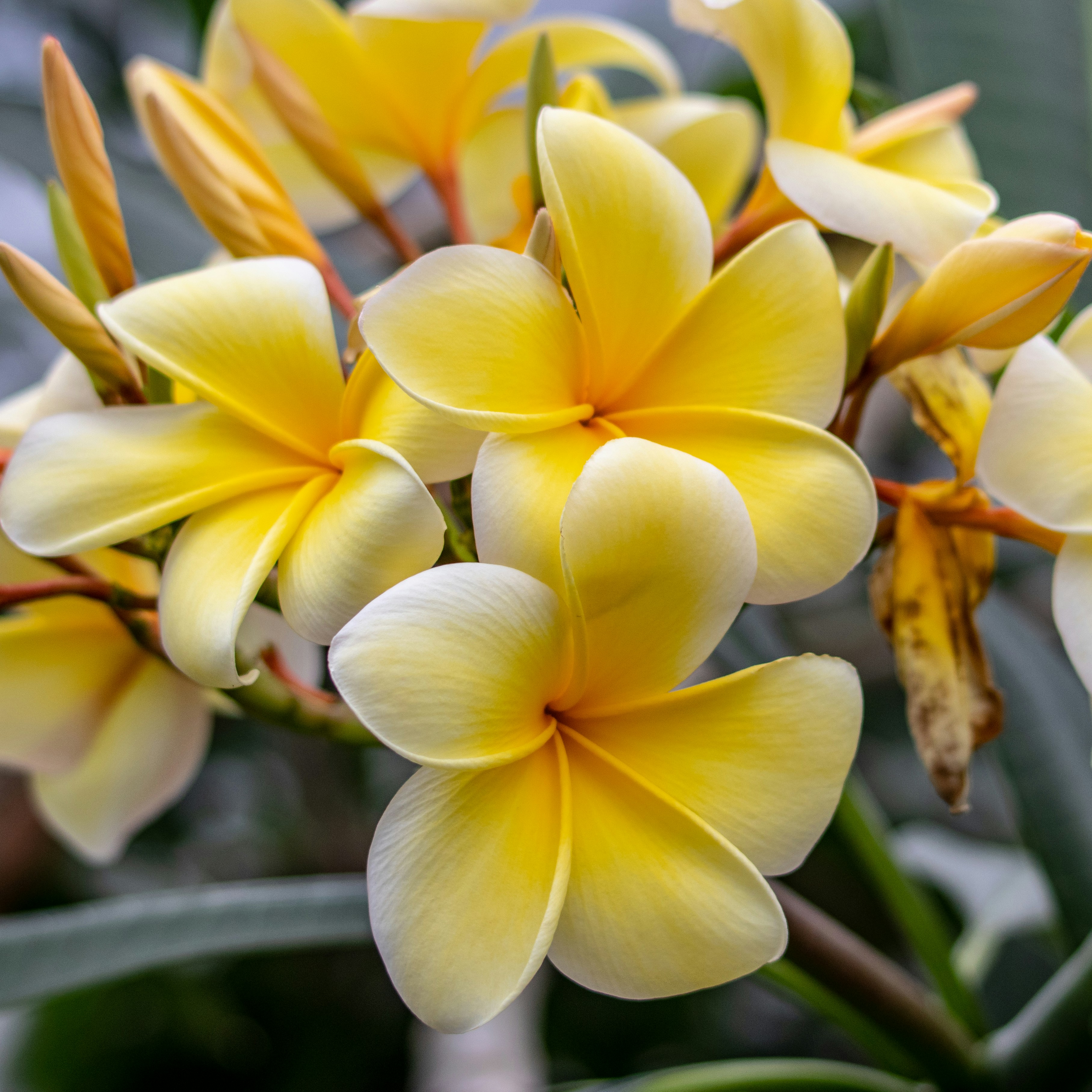 Photo by matthieur68