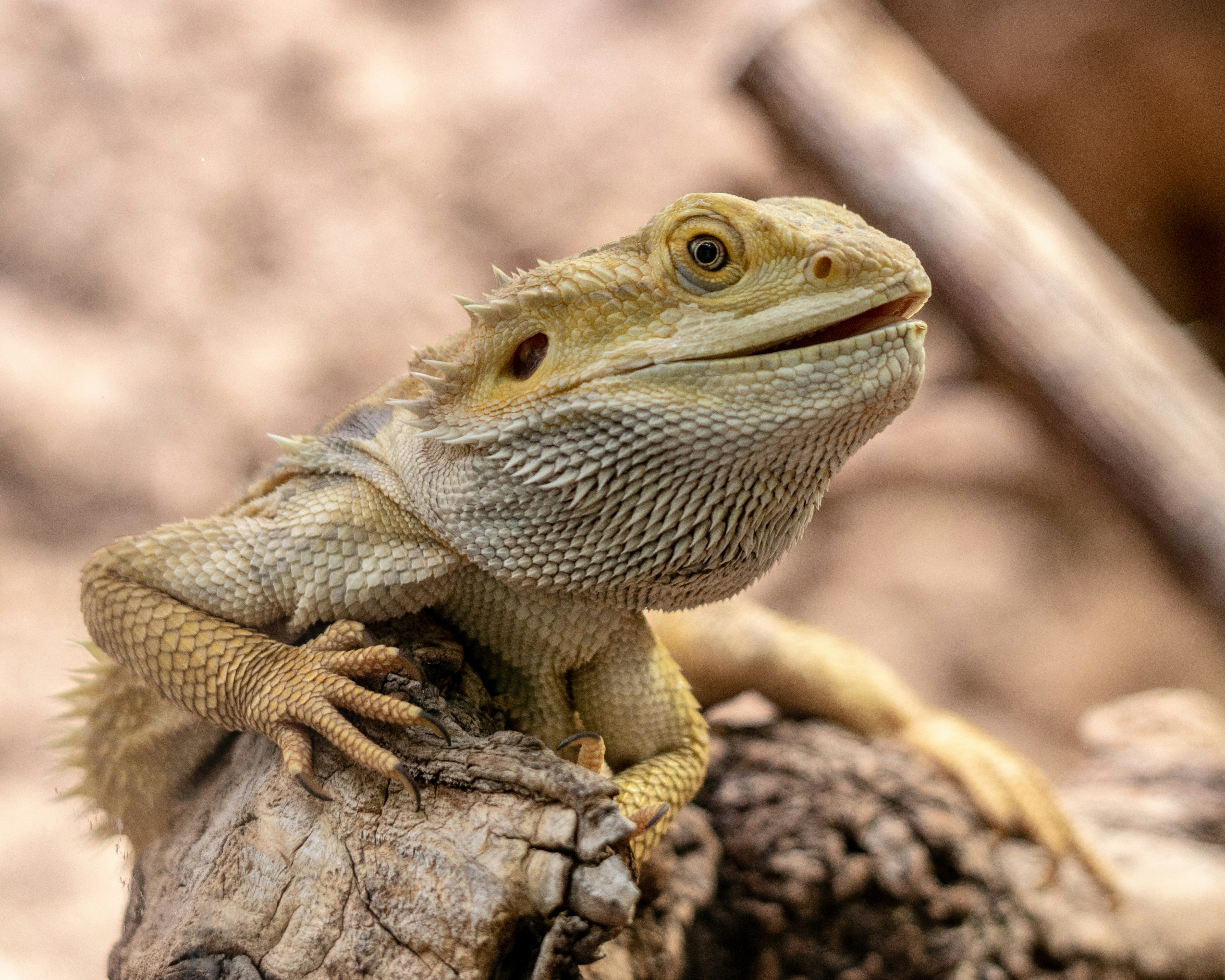 Photo by matthieur68