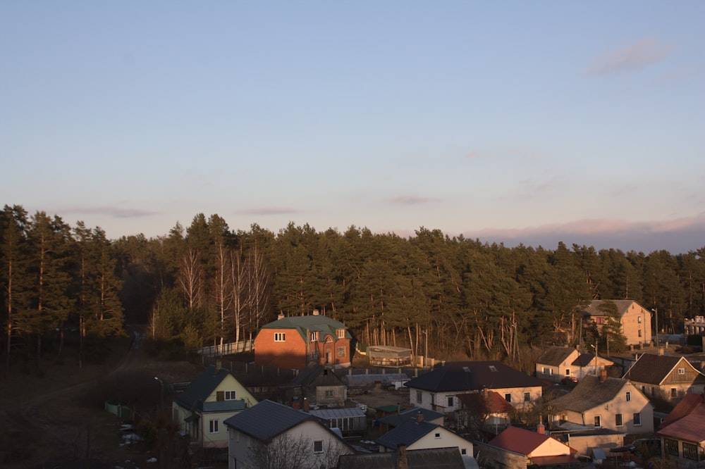 a small village in the middle of a forest