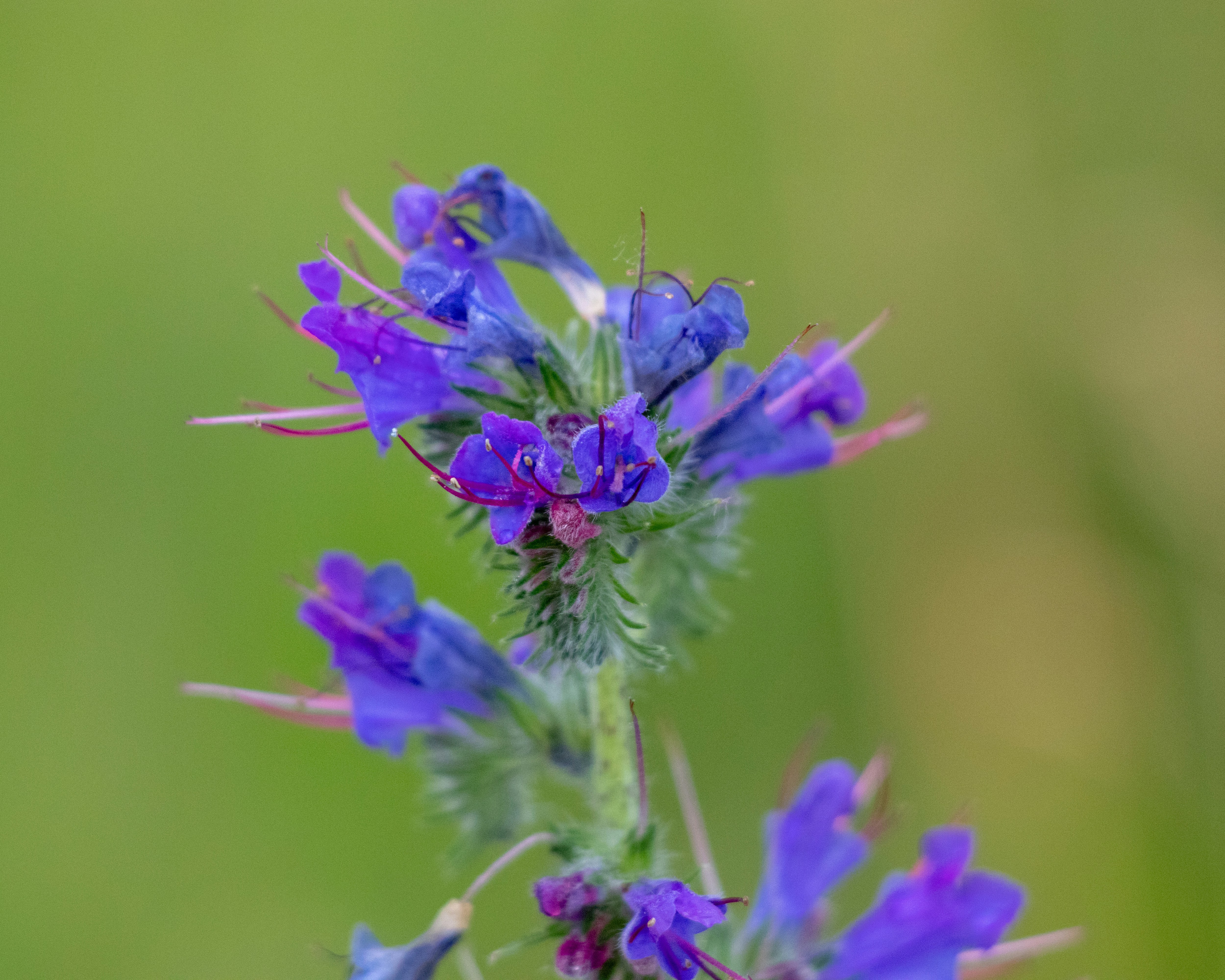 Photo by matthieur68