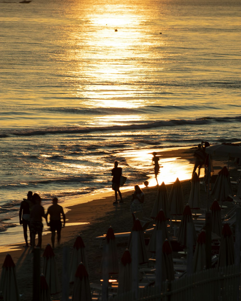 a group of people standing on top of a beach next to the ocean