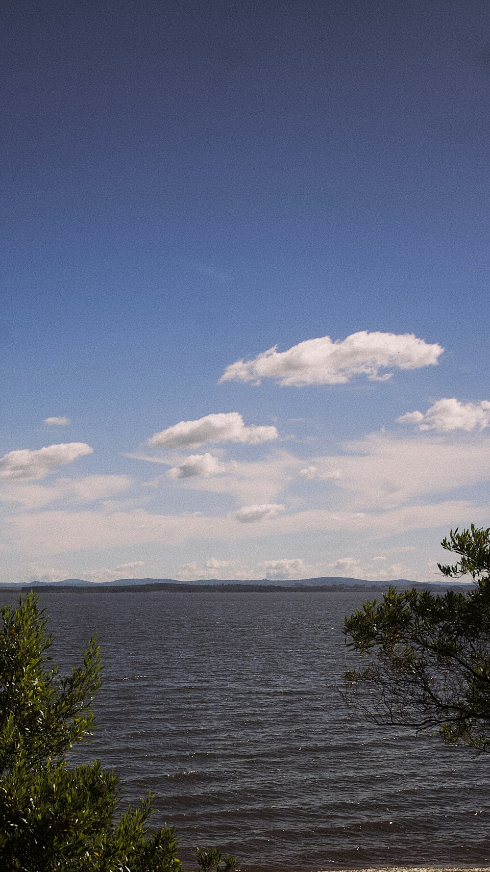 a view of a body of water from a beach