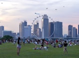 A large group of people are gathered on a grassy field enjoying a day out, with some flying kites. The background features a city skyline with numerous skyscrapers and a large Ferris wheel, possibly the Singapore Flyer. The sky is a mix of soft pastel colors indicating either sunrise or sunset.