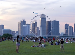 A large group of people are gathered on a grassy field enjoying a day out, with some flying kites. The background features a city skyline with numerous skyscrapers and a large Ferris wheel, possibly the Singapore Flyer. The sky is a mix of soft pastel colors indicating either sunrise or sunset.