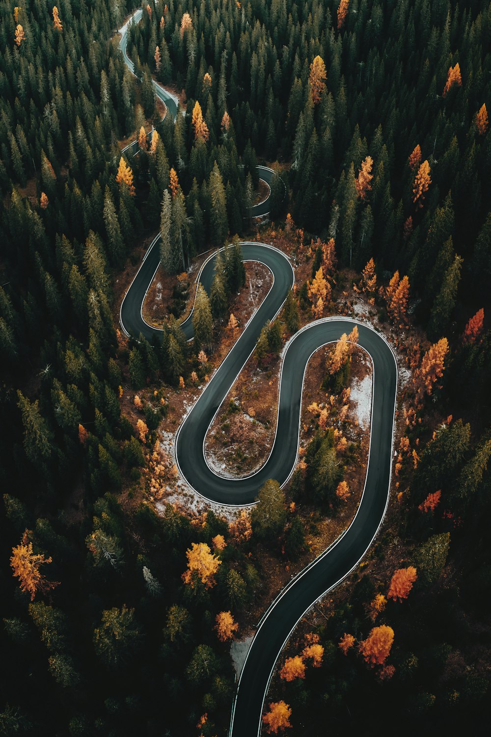 a winding road in the middle of a forest