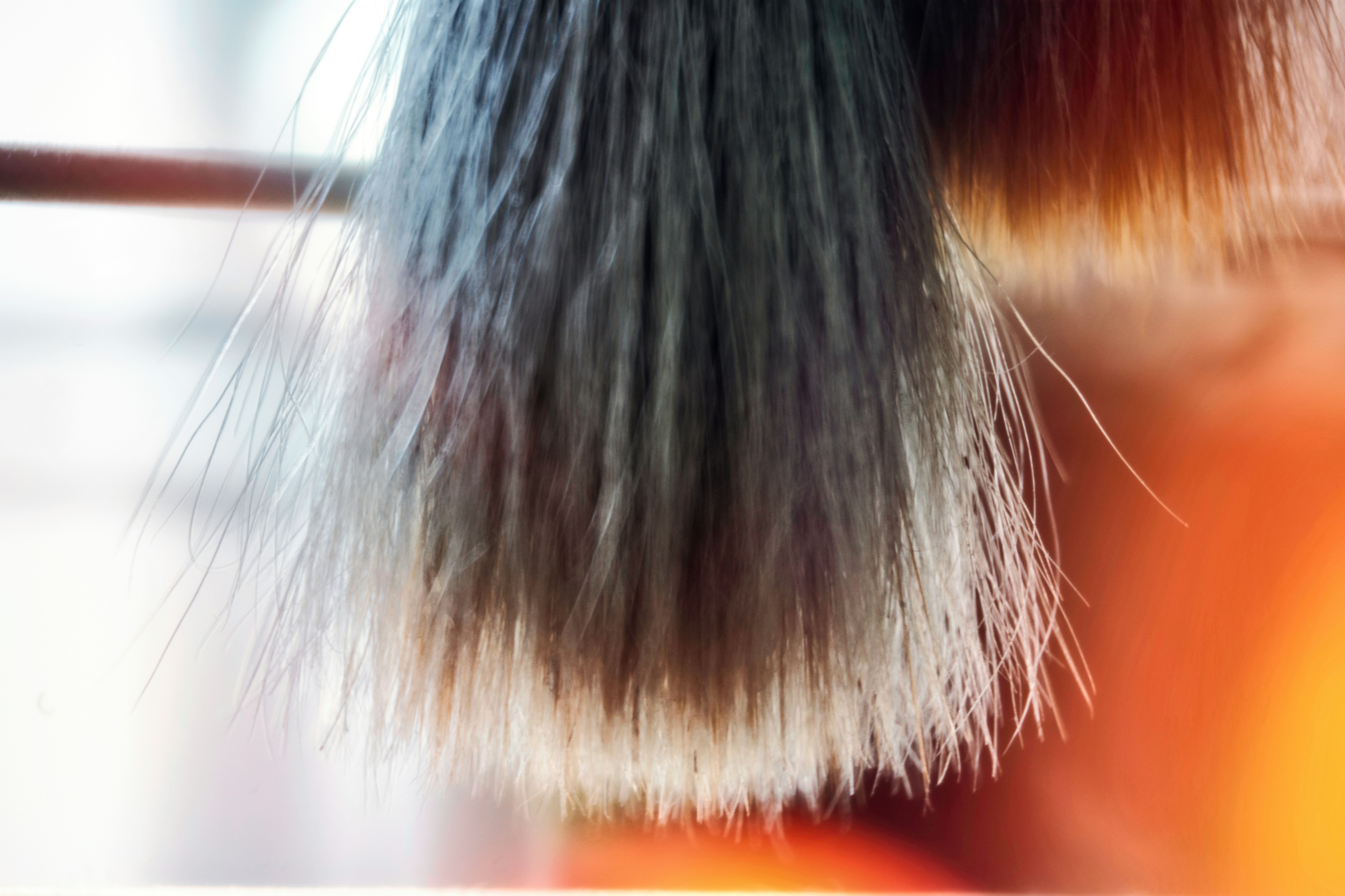 Photo by thomaskinto