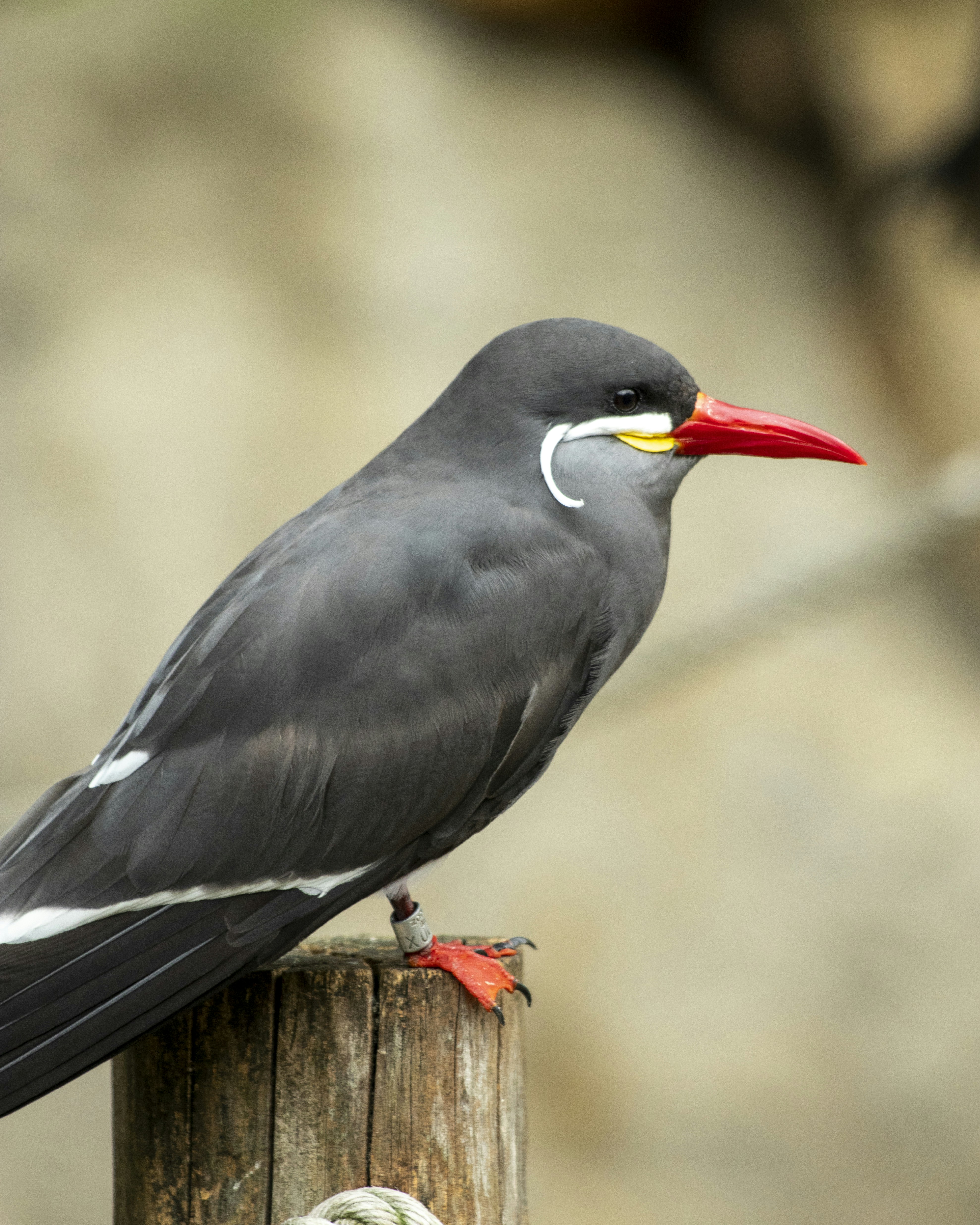 Photo by matthieur68