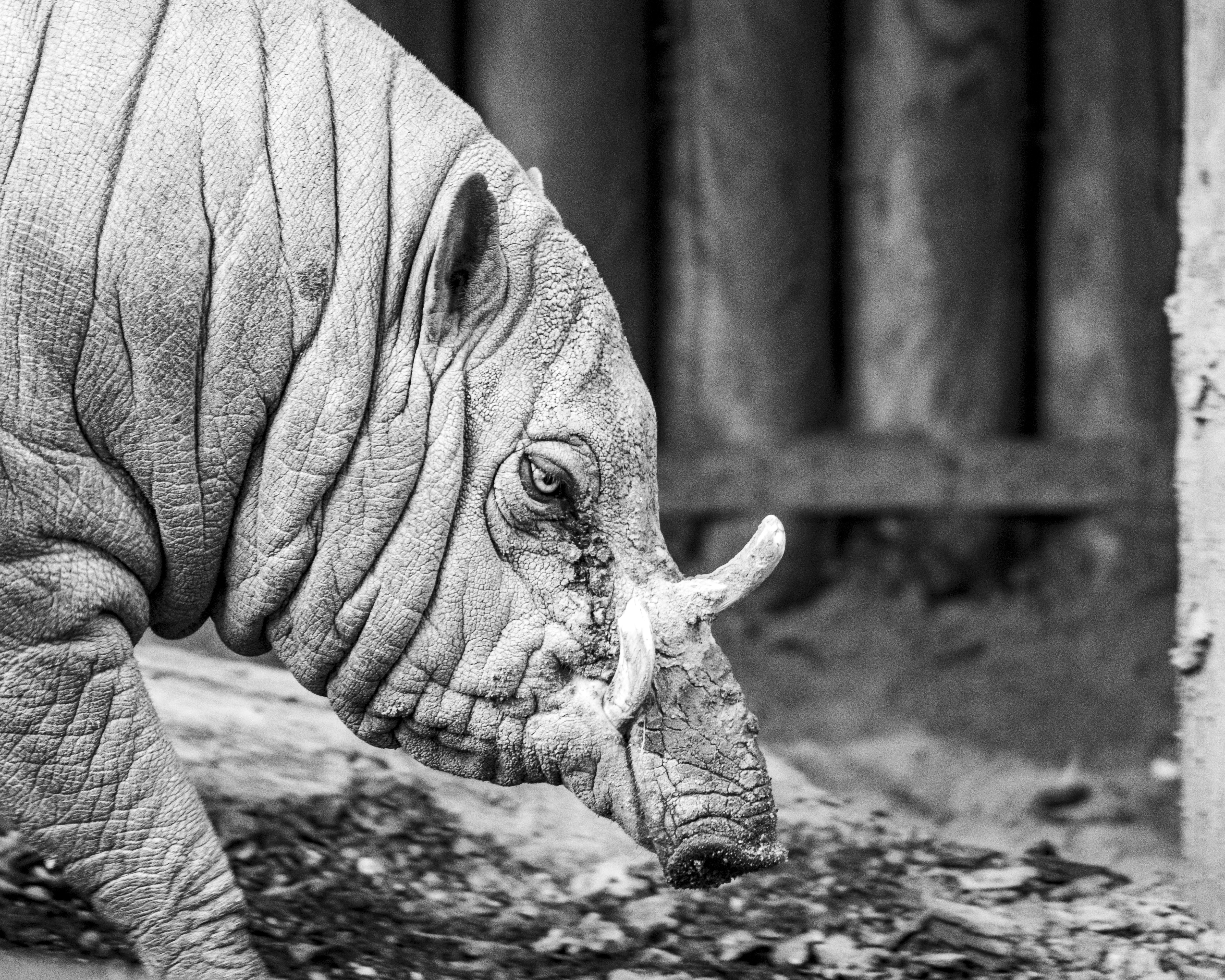 Photo by matthieur68