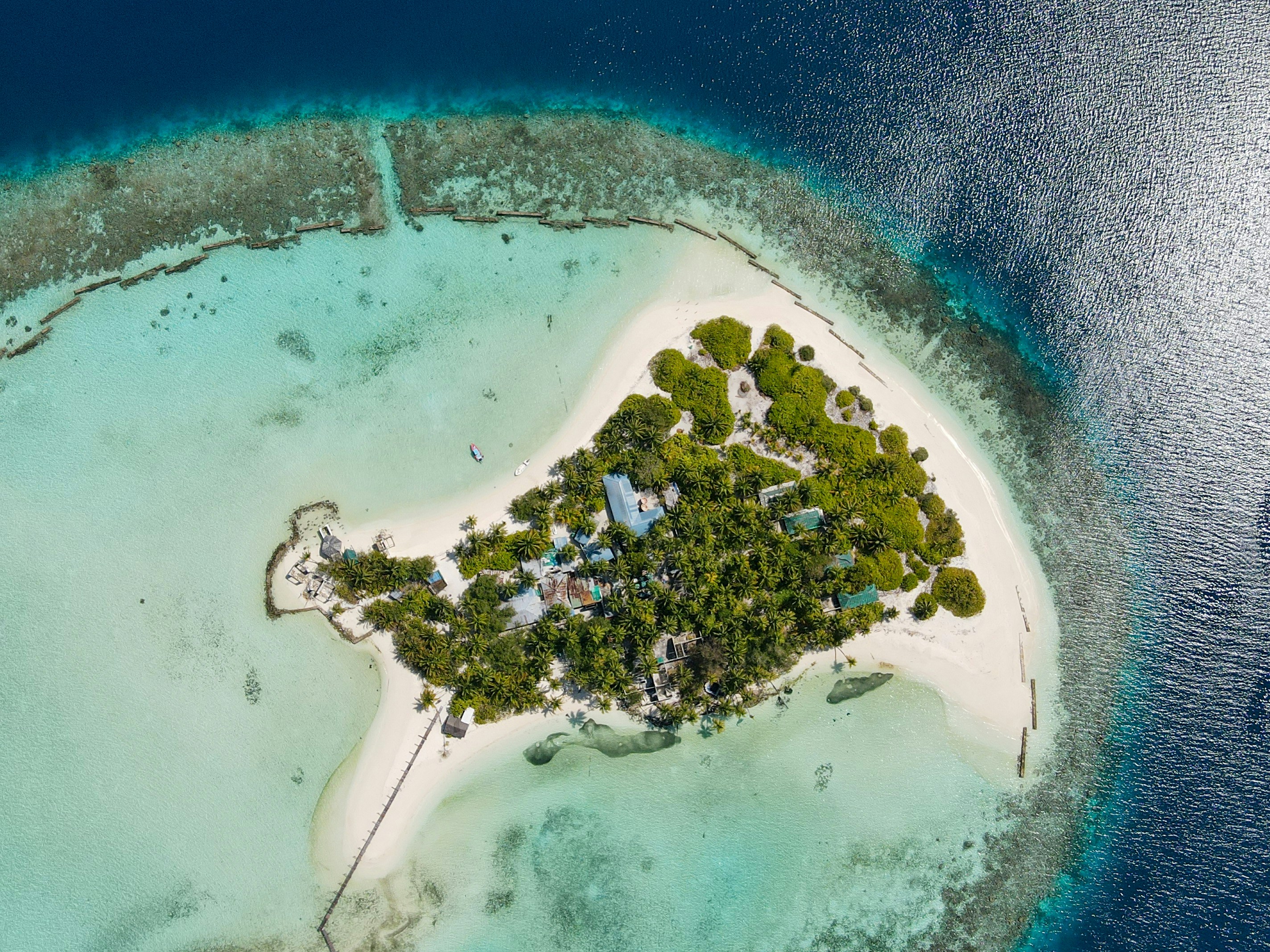 Photo by rizmeenphotos