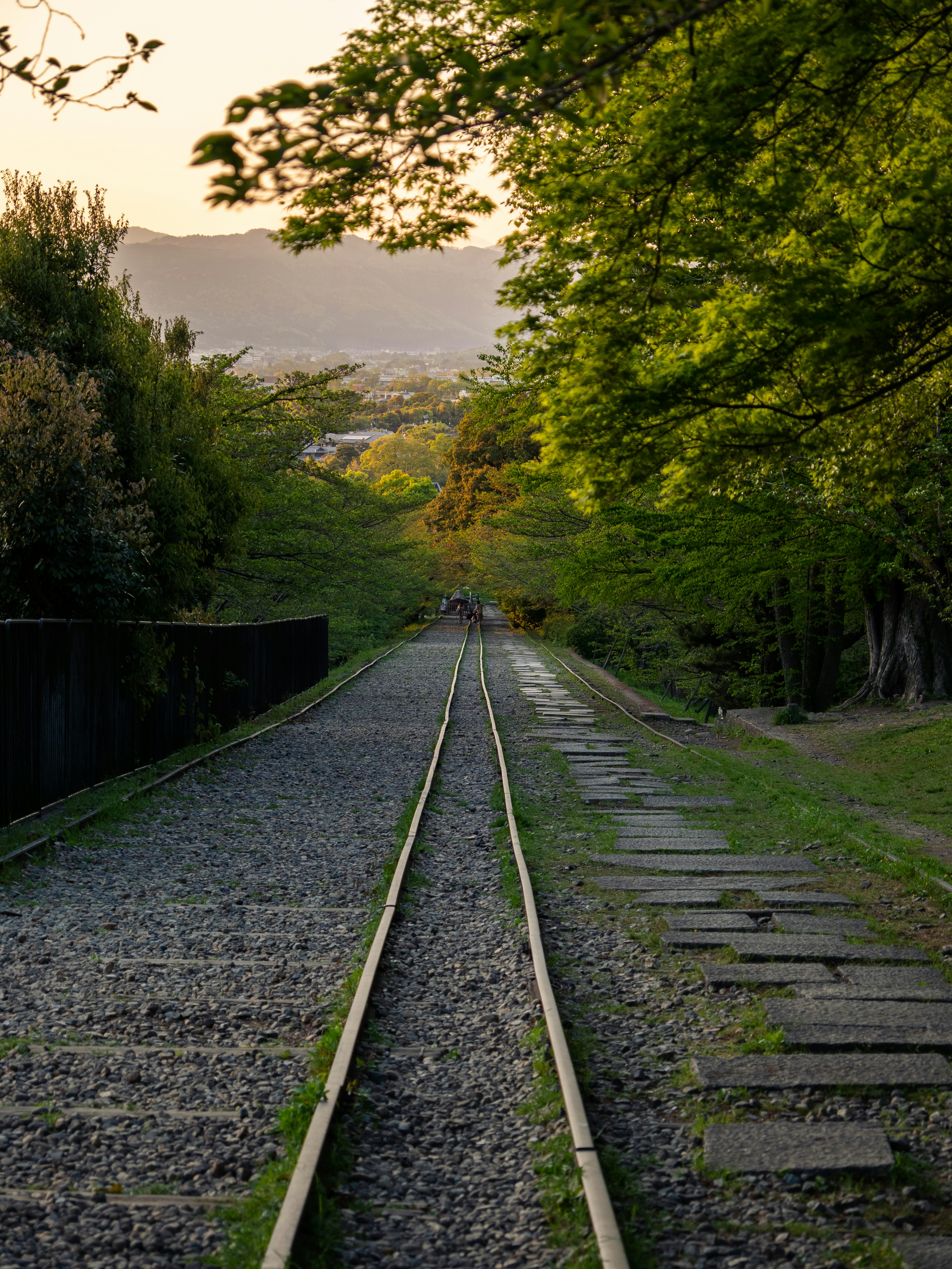 Photo by shellingfordyu